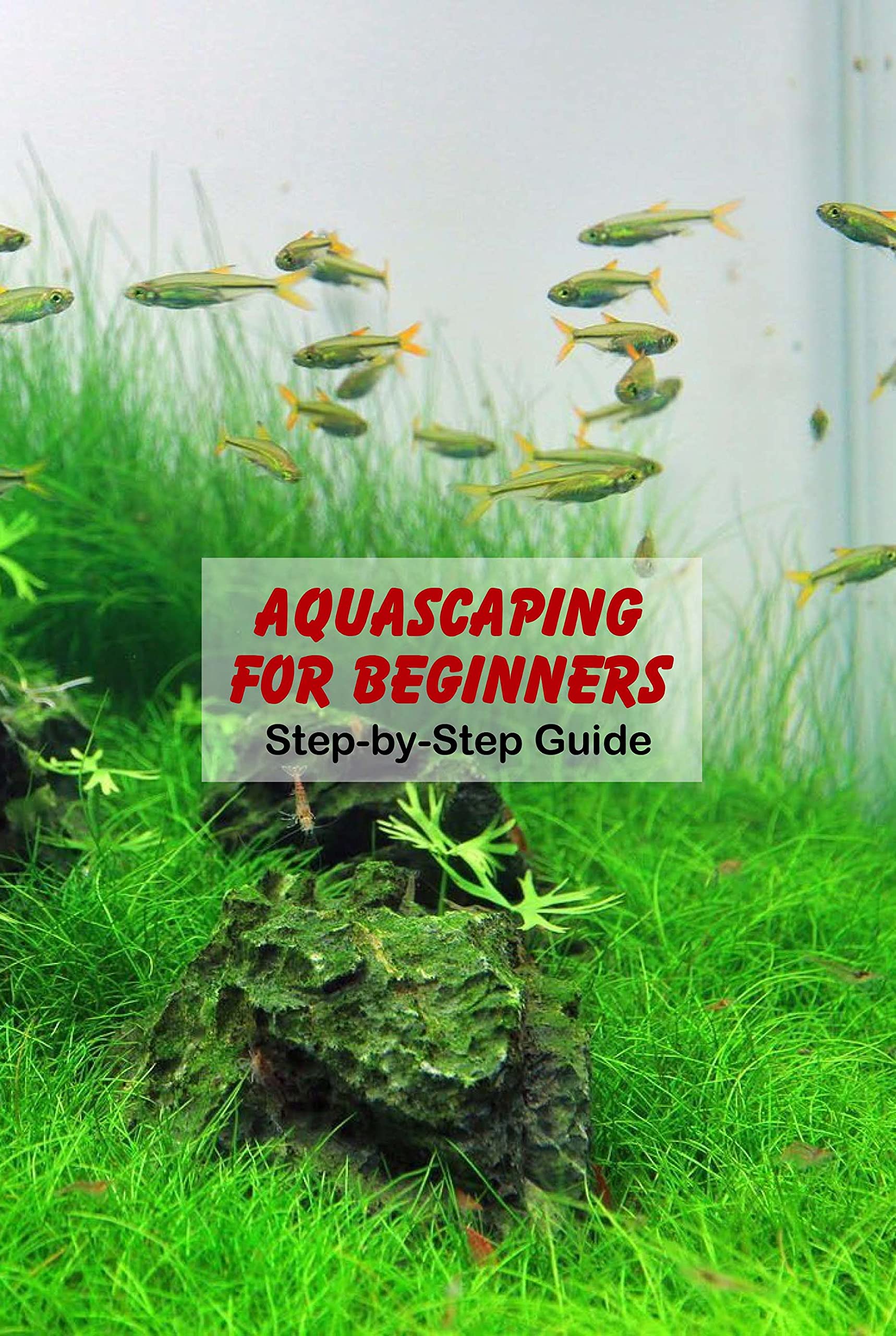 Aquascaping for Beginners: Step-by-Step Guide by STEADHAM AMBER | Goodreads
