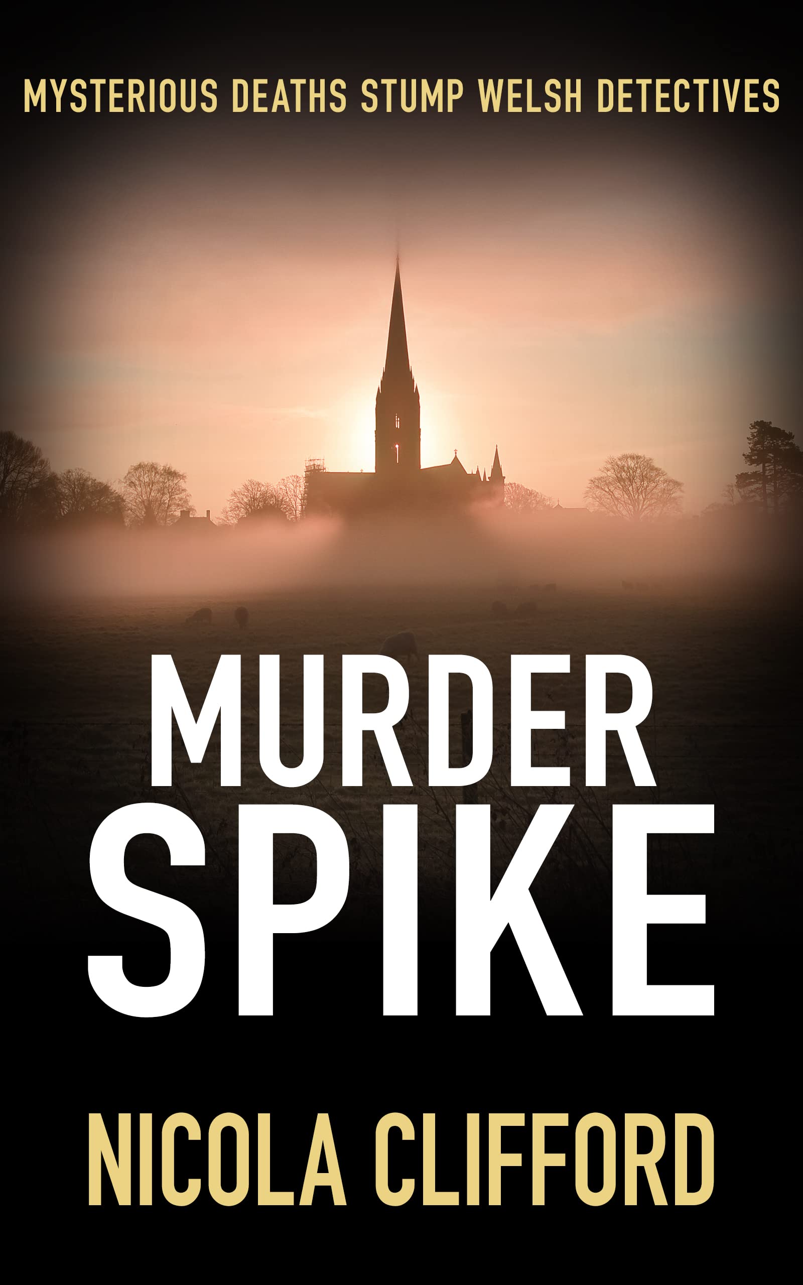 Murder Spike: Mysterious deaths stump Welsh detectives