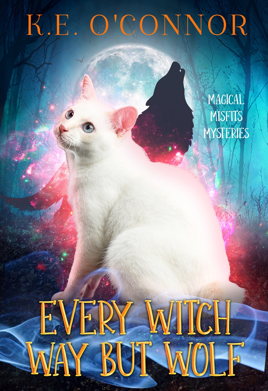 Every Witch way but Wolf book cover