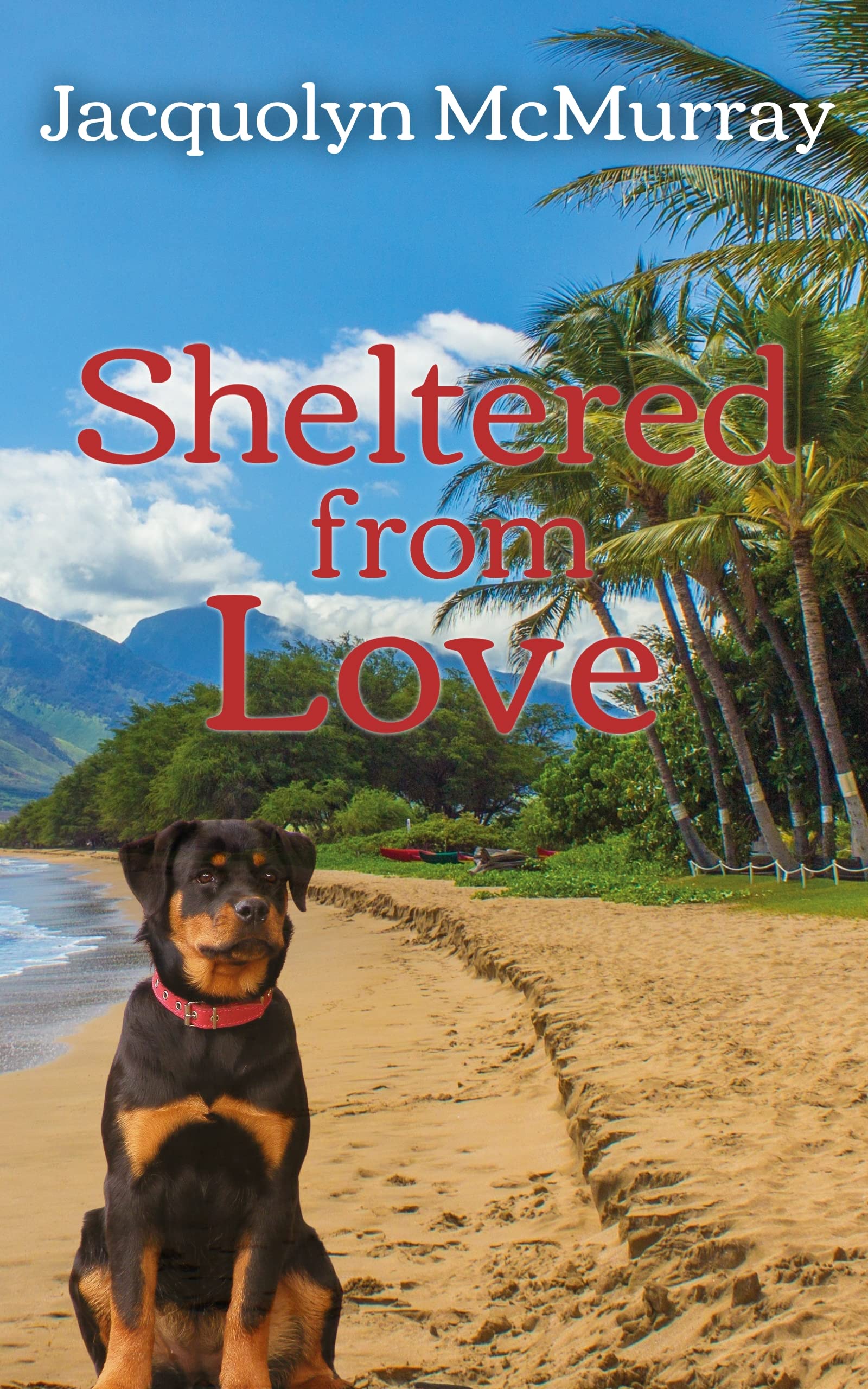 Sheltered from Love: Clean & Wholesome Romance