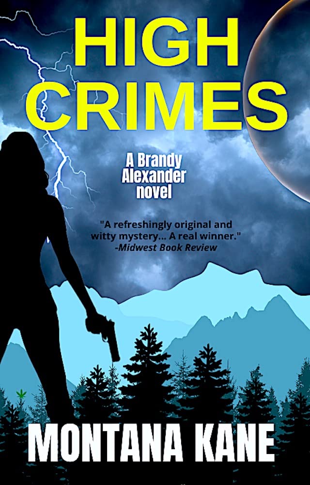 High Crimes: A Brandy Martini novel