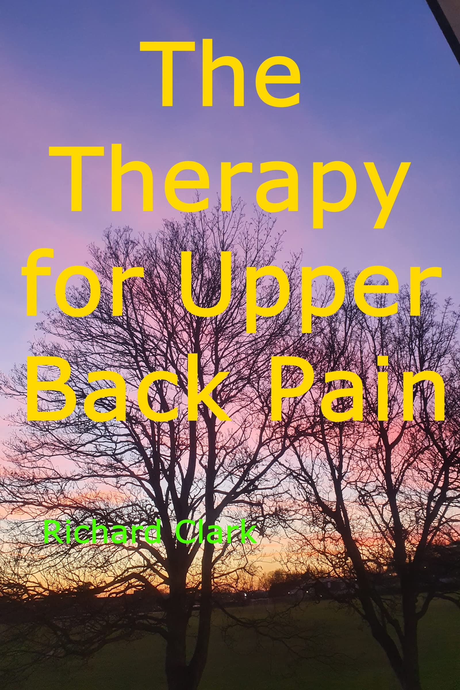 the-therapy-for-upper-back-pain-by-richard-clark-goodreads