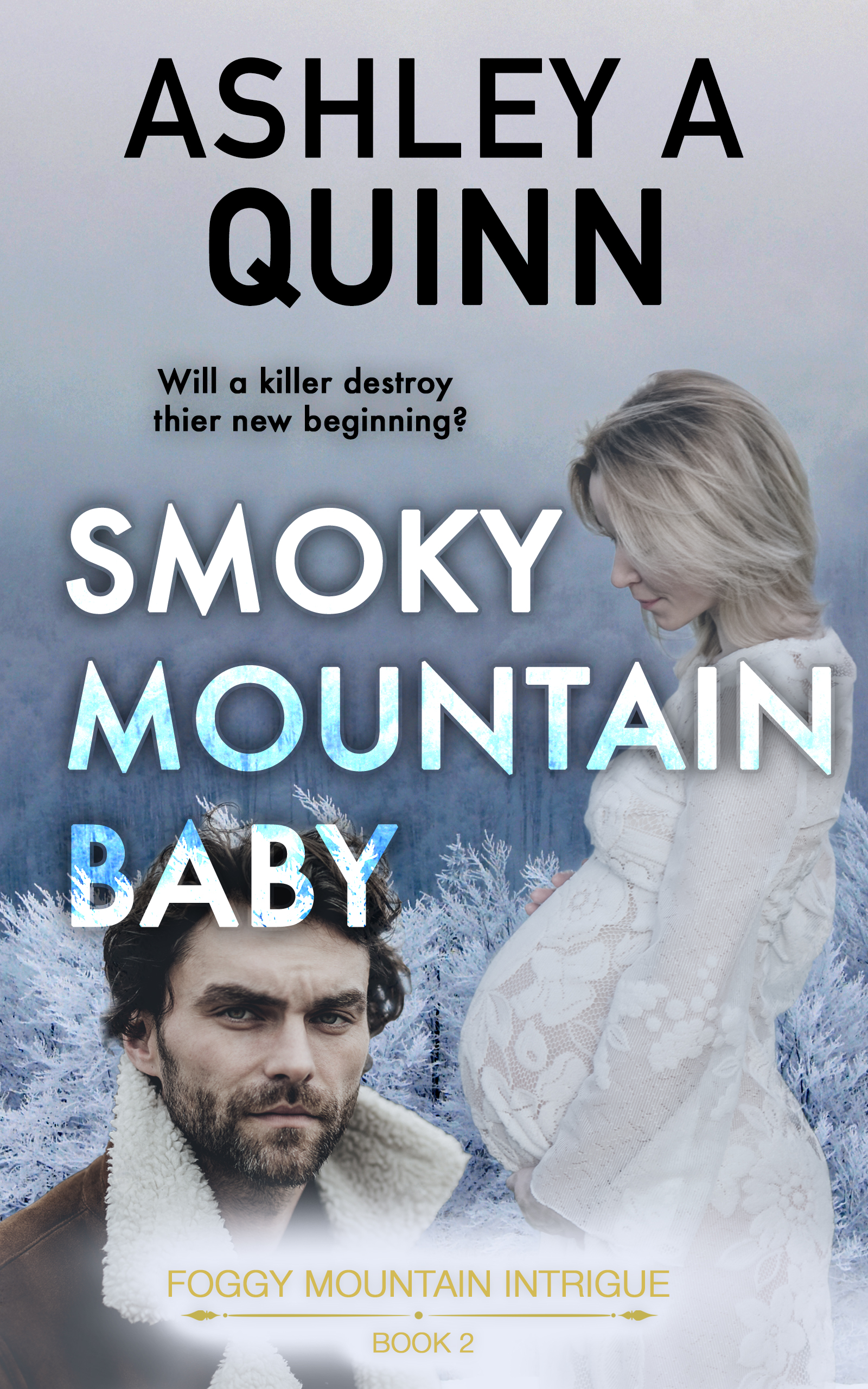 Foggy Mountain Intrigue book cover 3