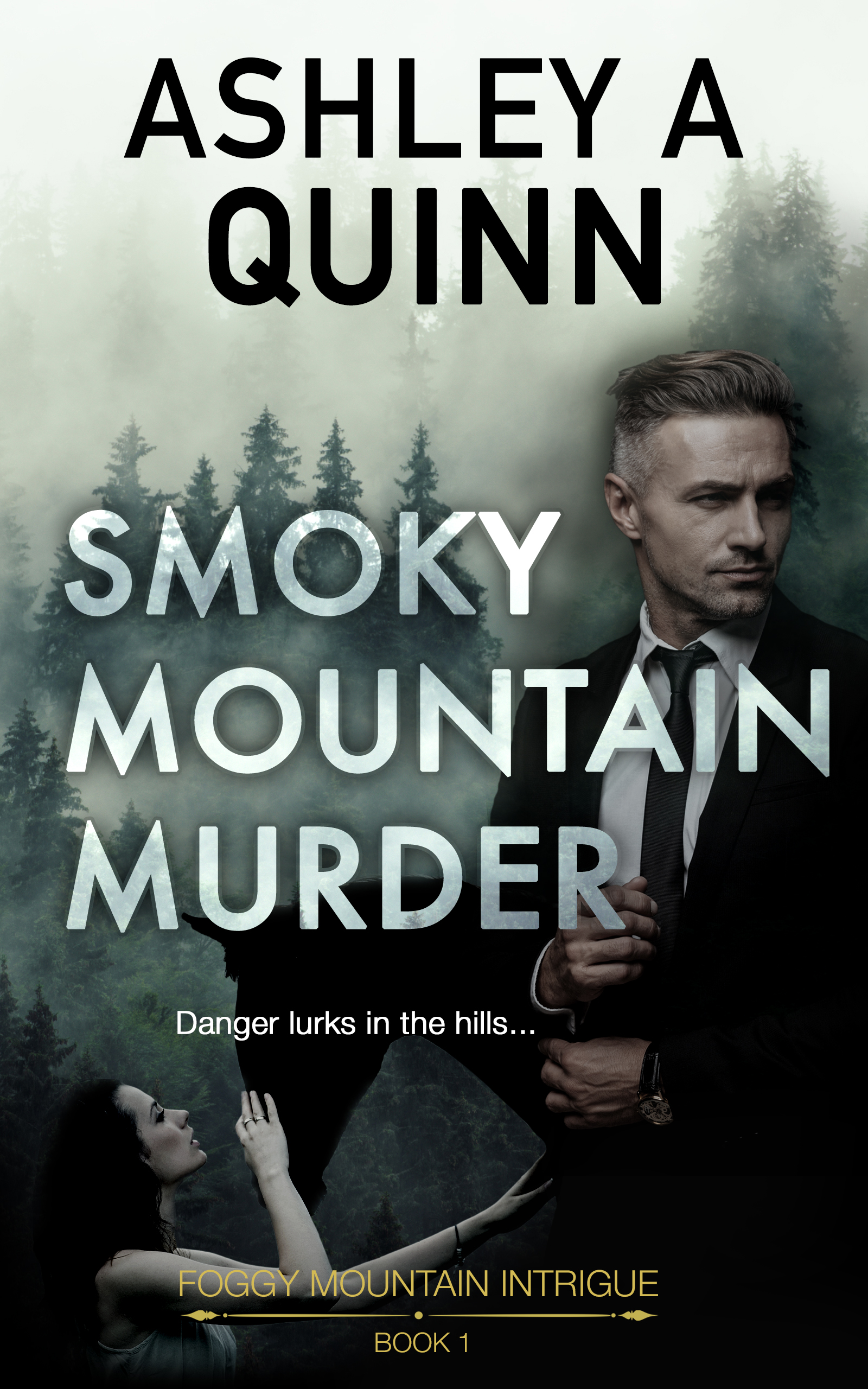 Foggy Mountain Intrigue book cover 2