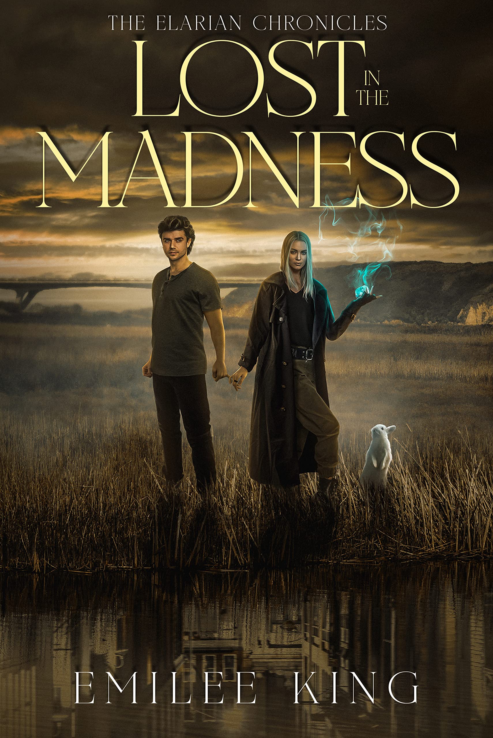 Lost in the Madness