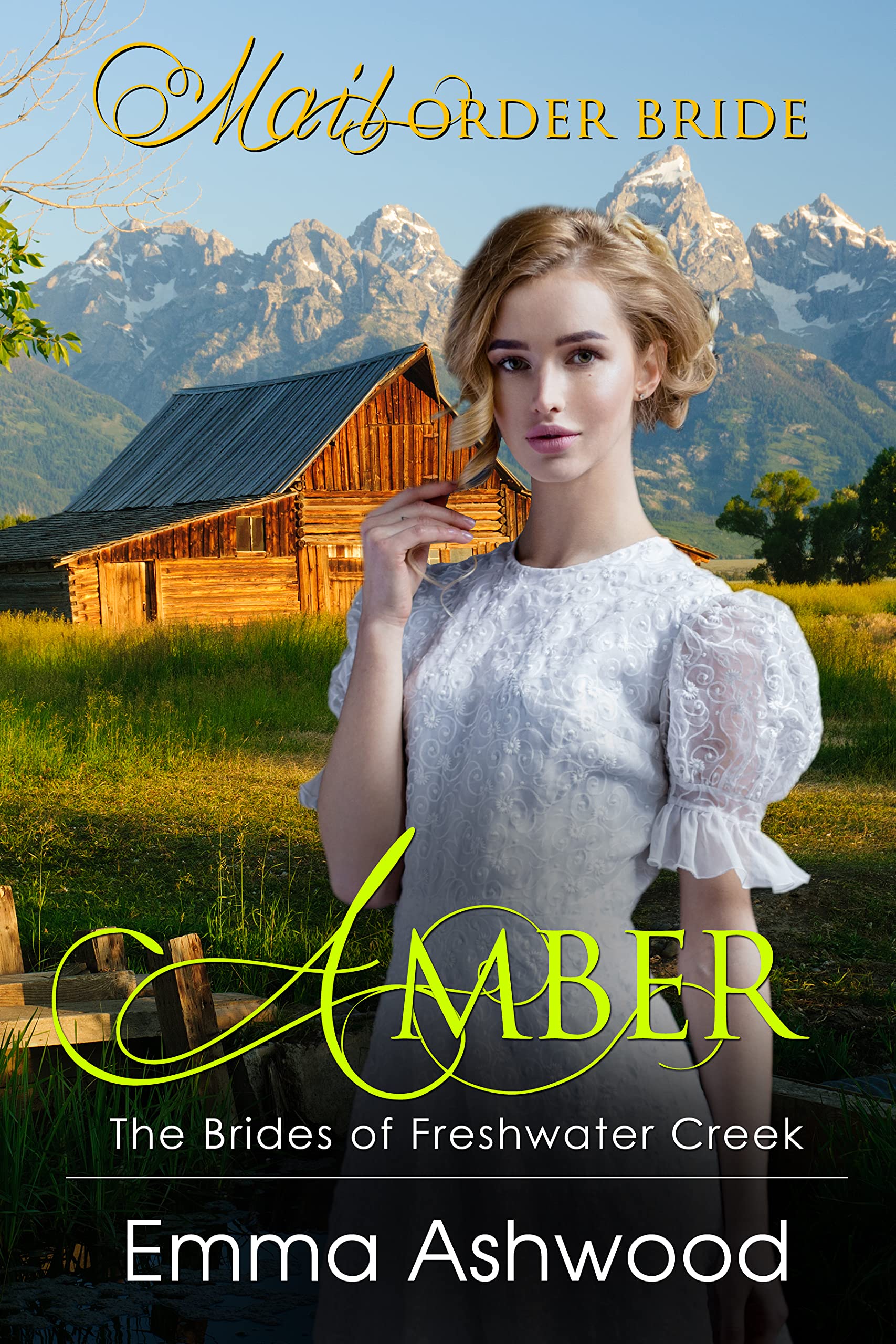 Amber book cover