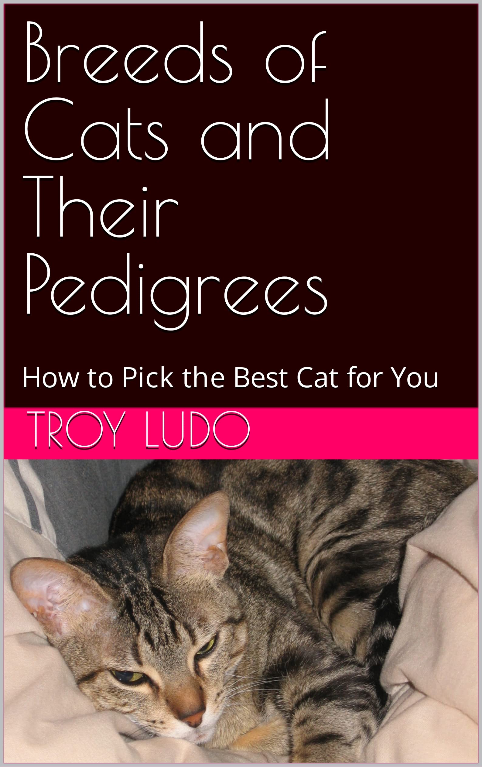 Breeds of Cats and Their Pedigrees How to Pick the Best Cat for You by