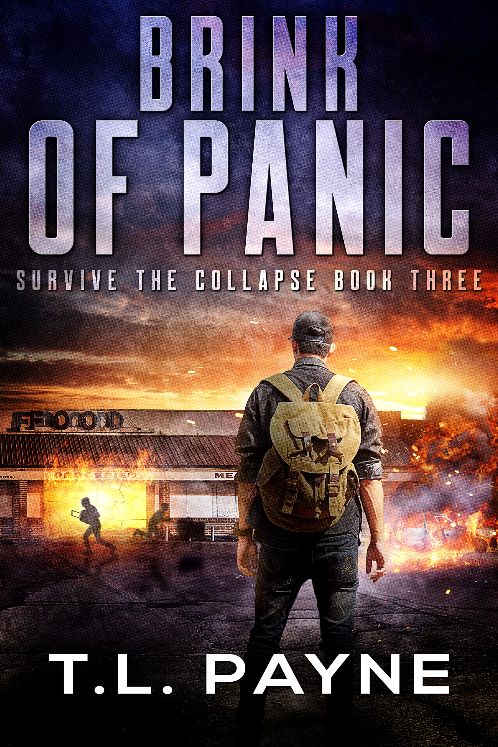 Brink of Panic book cover