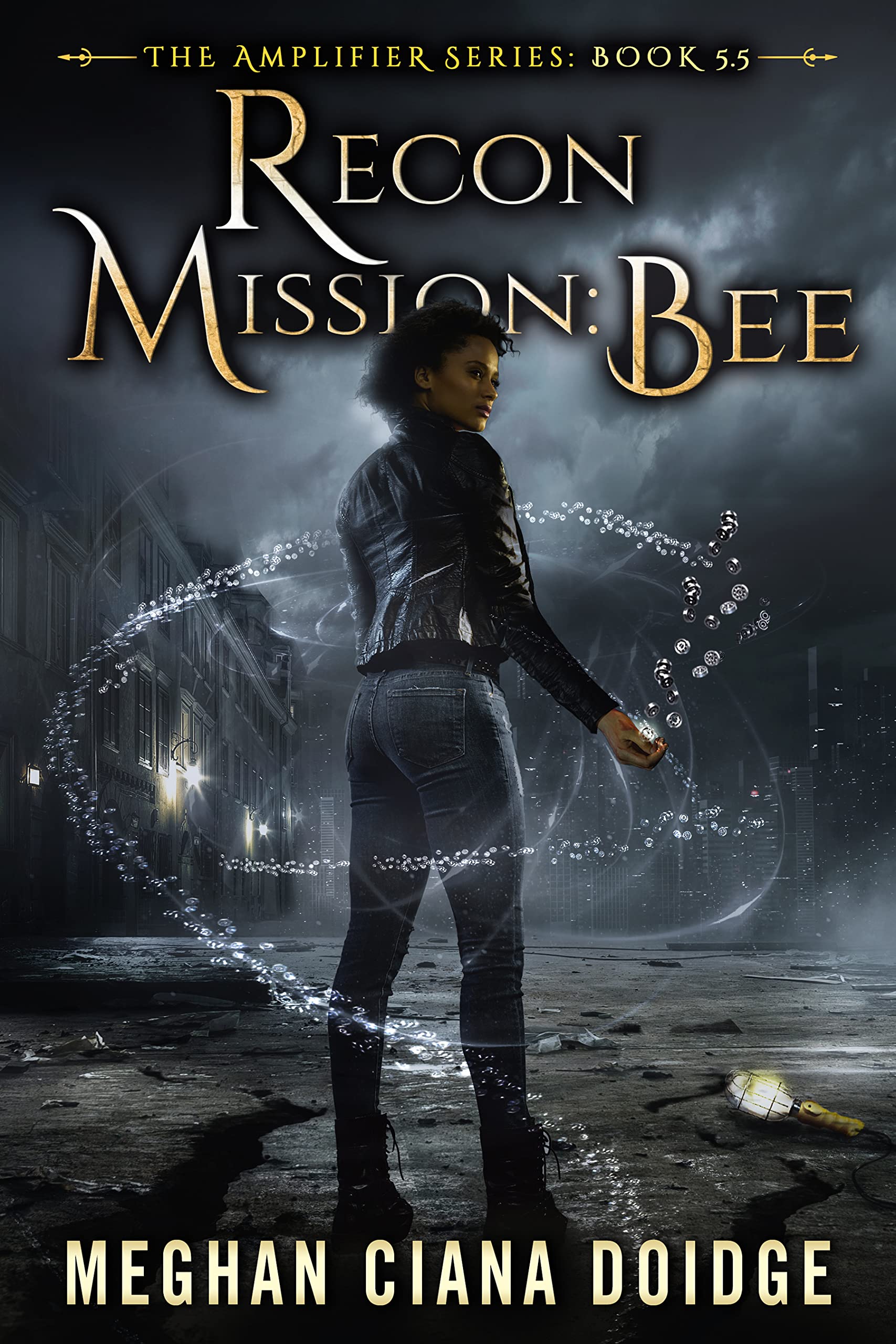 Recon Mission book cover