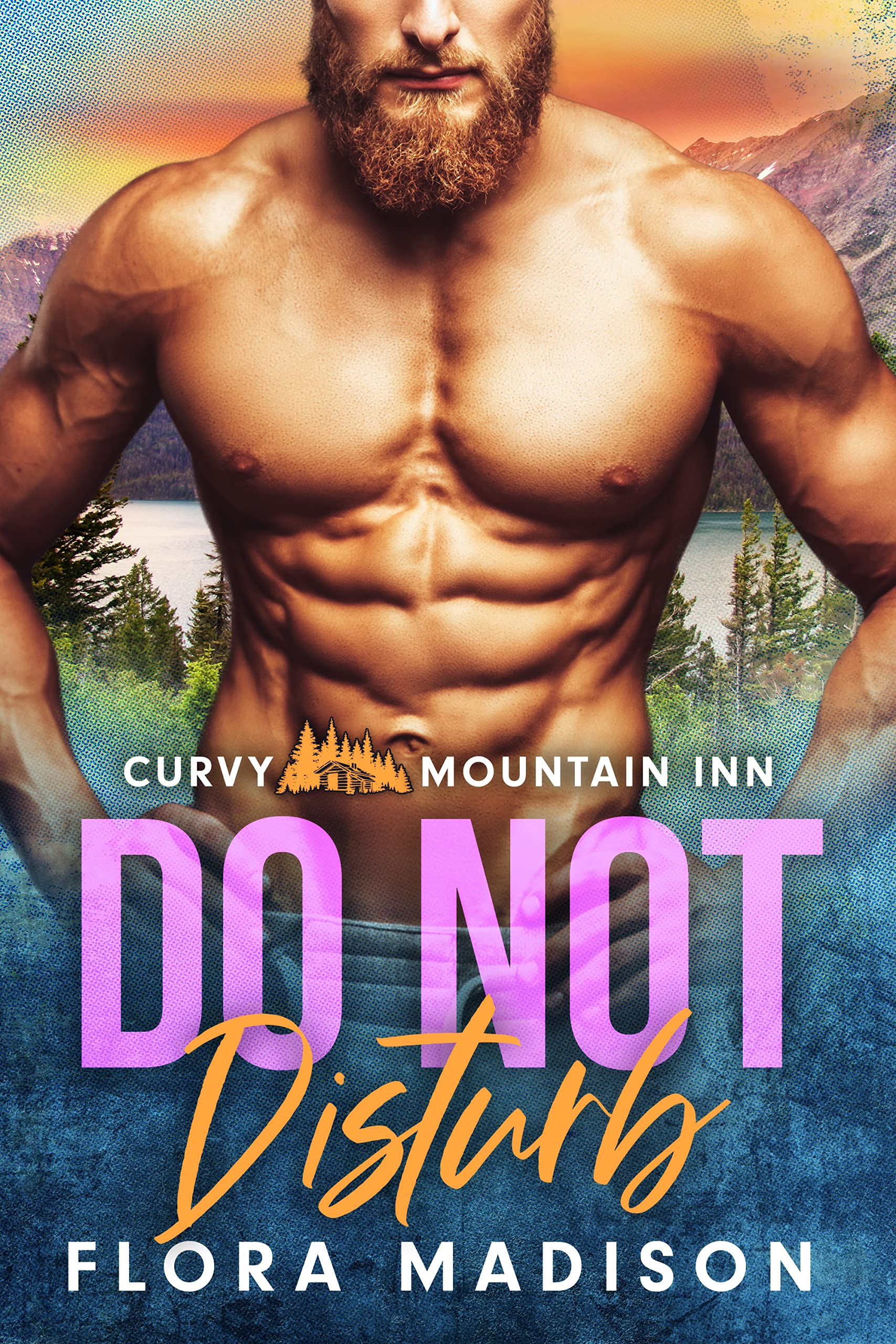 Do Not Disturb book cover