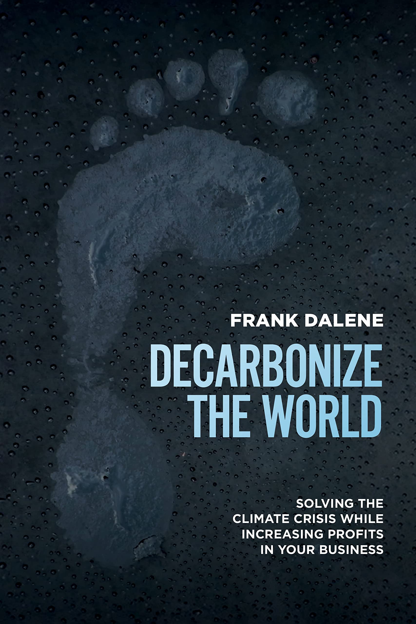 Decarbonize The World: Solving The Climate Crises While Increasing Profits in Your Business