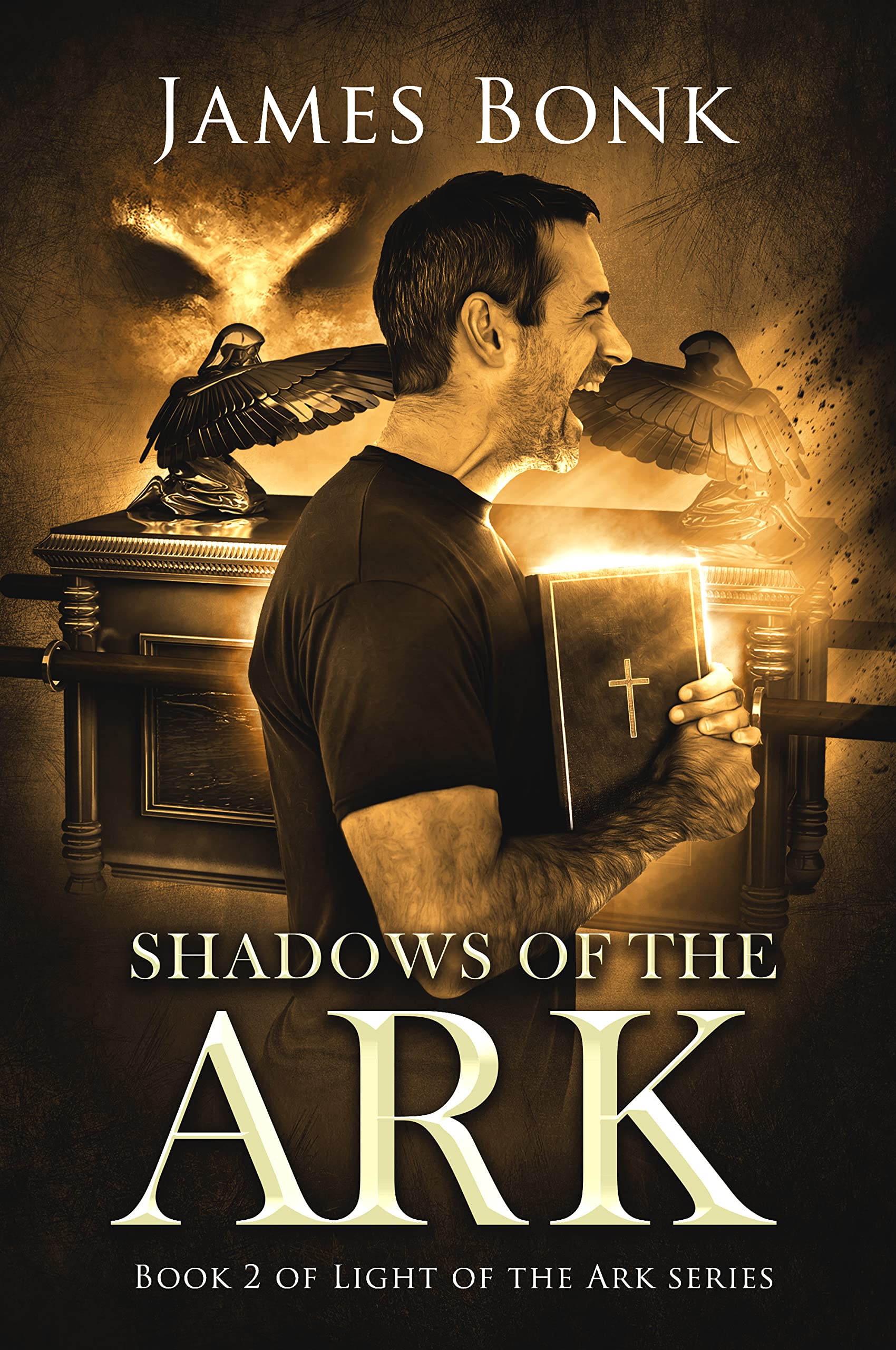 Shadows of the Ark