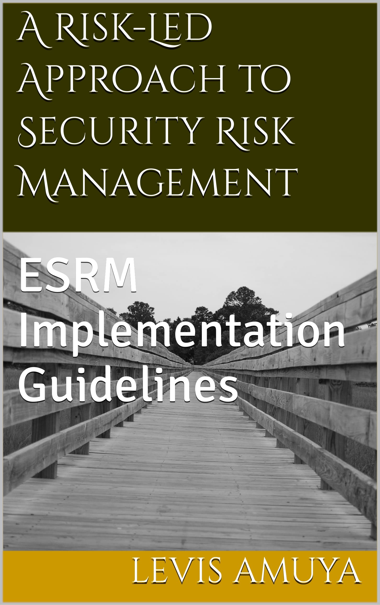 A RiskLed Approach to Security Risk Management ESRM Implementation