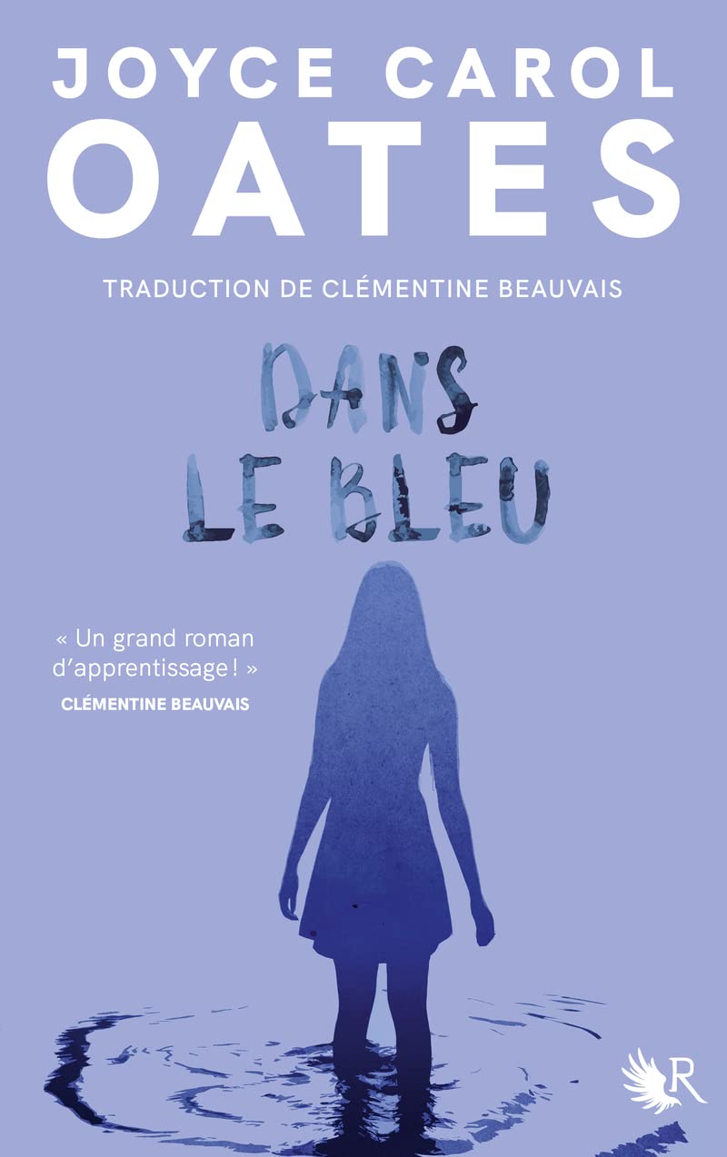 Dans le bleu book cover