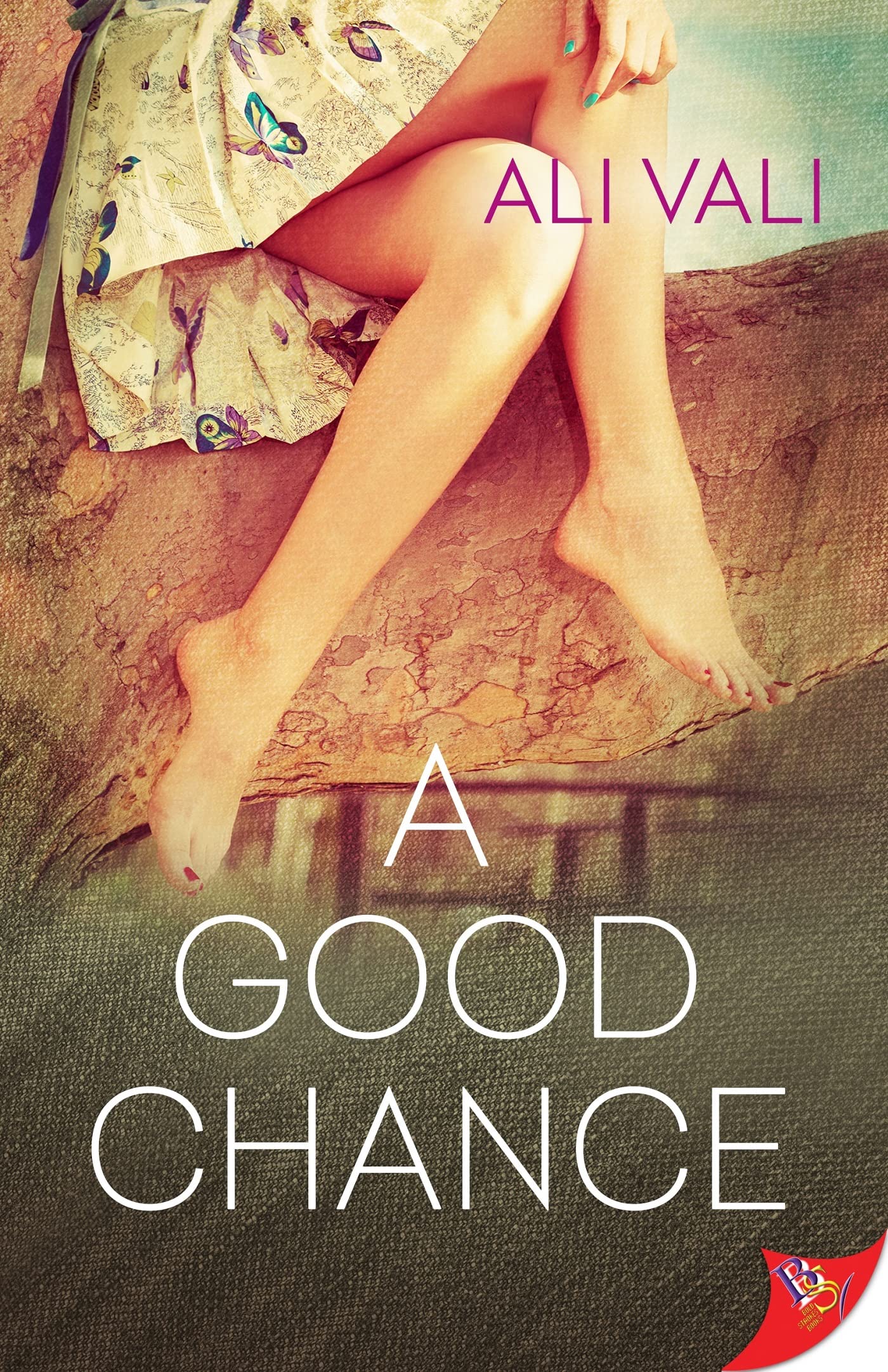 Chance book cover 2