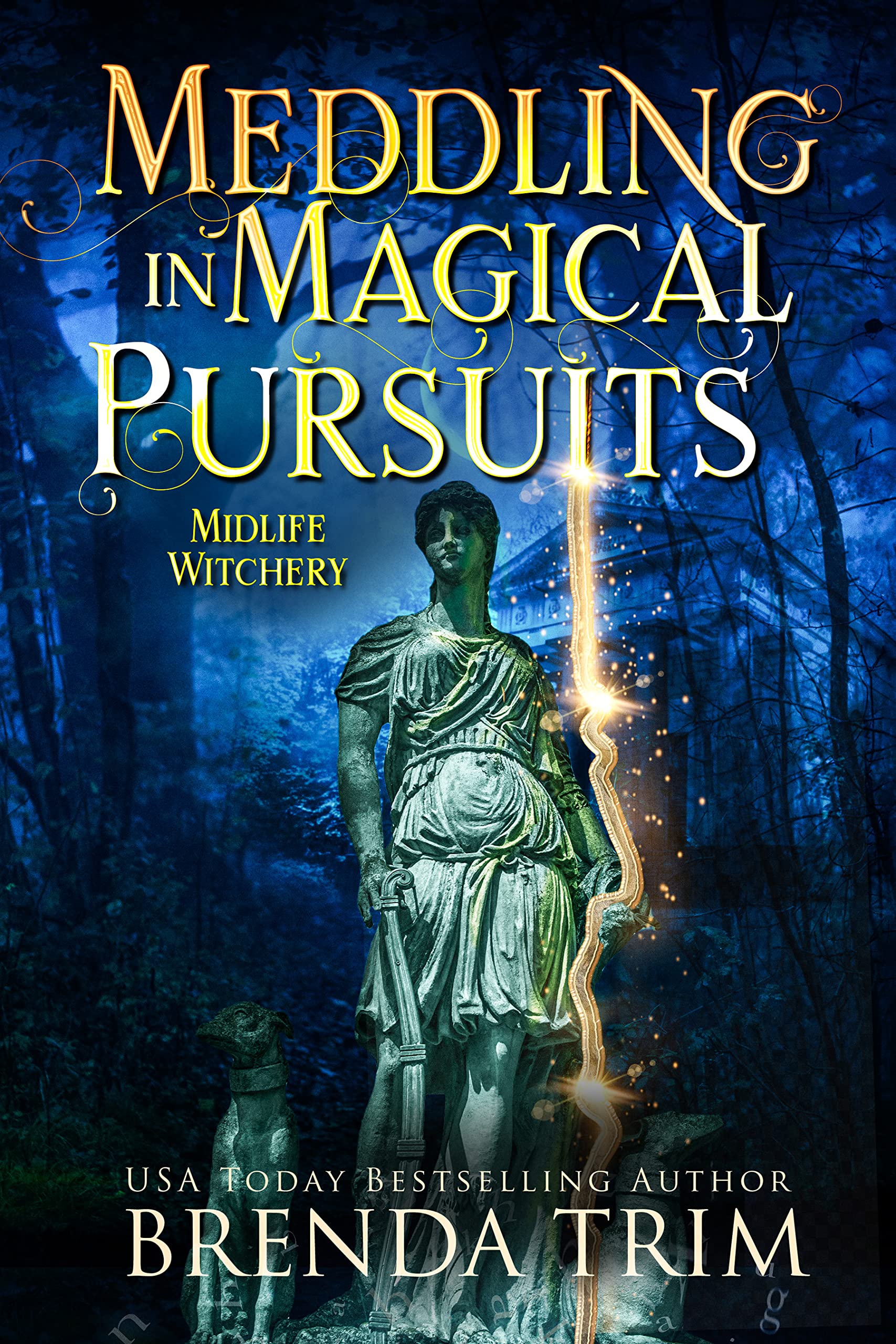 Meddling in Magical Pursuits (Midlife Witchery, #13) book cover