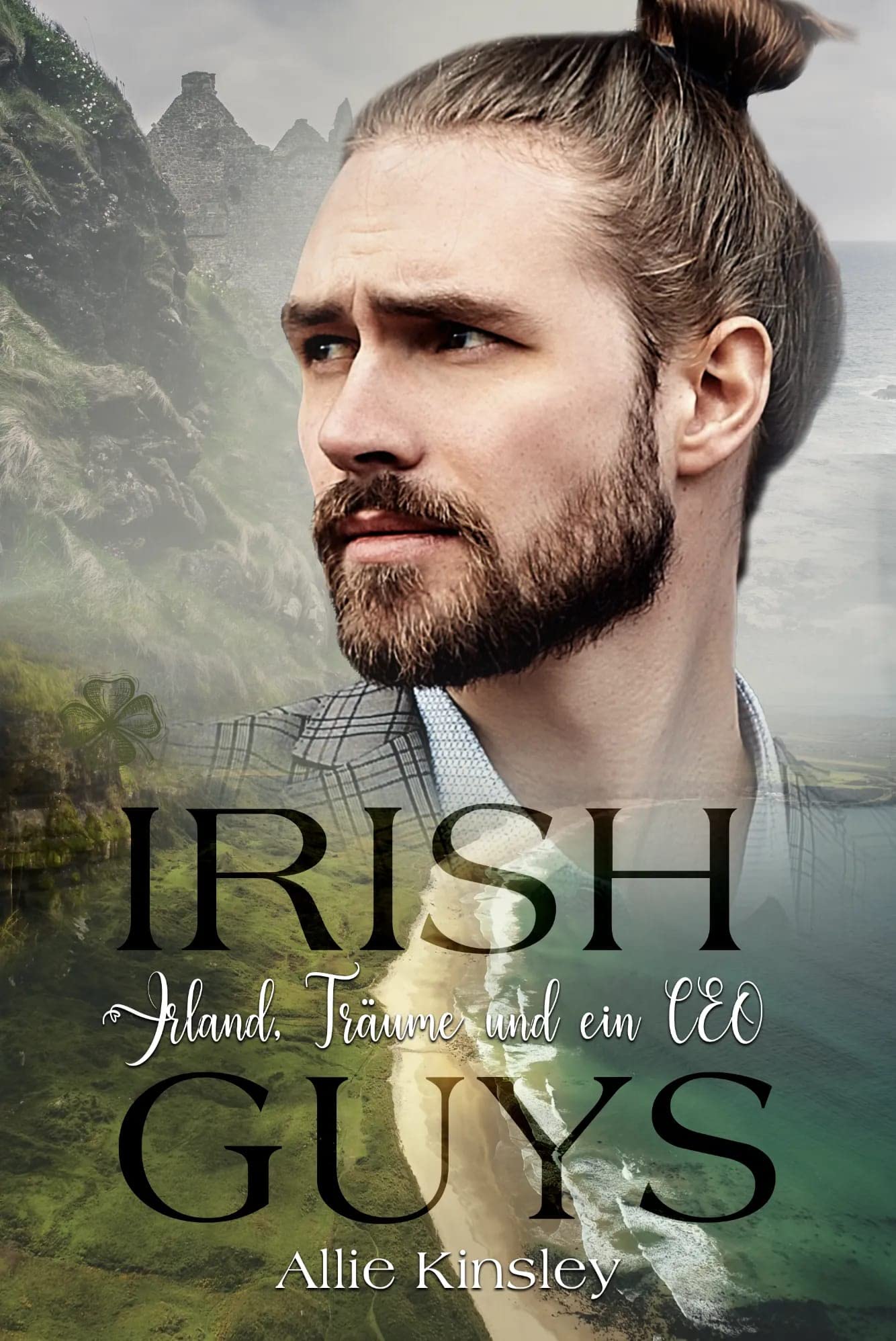 Irland, Träume und ein CEO book cover