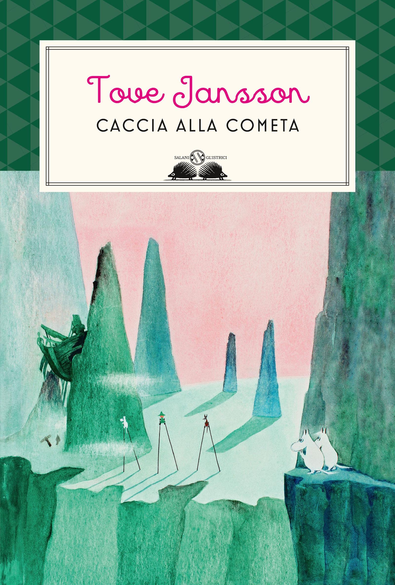 Caccia alla cometa (Italian Edition)
