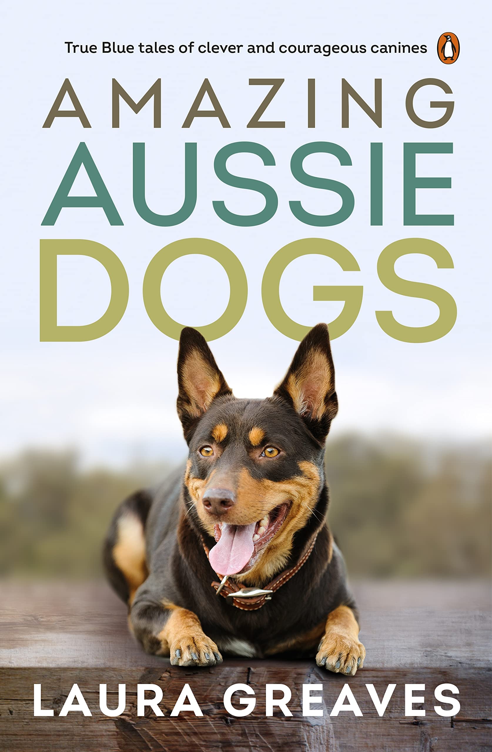 Amazing Aussie Dogs book cover