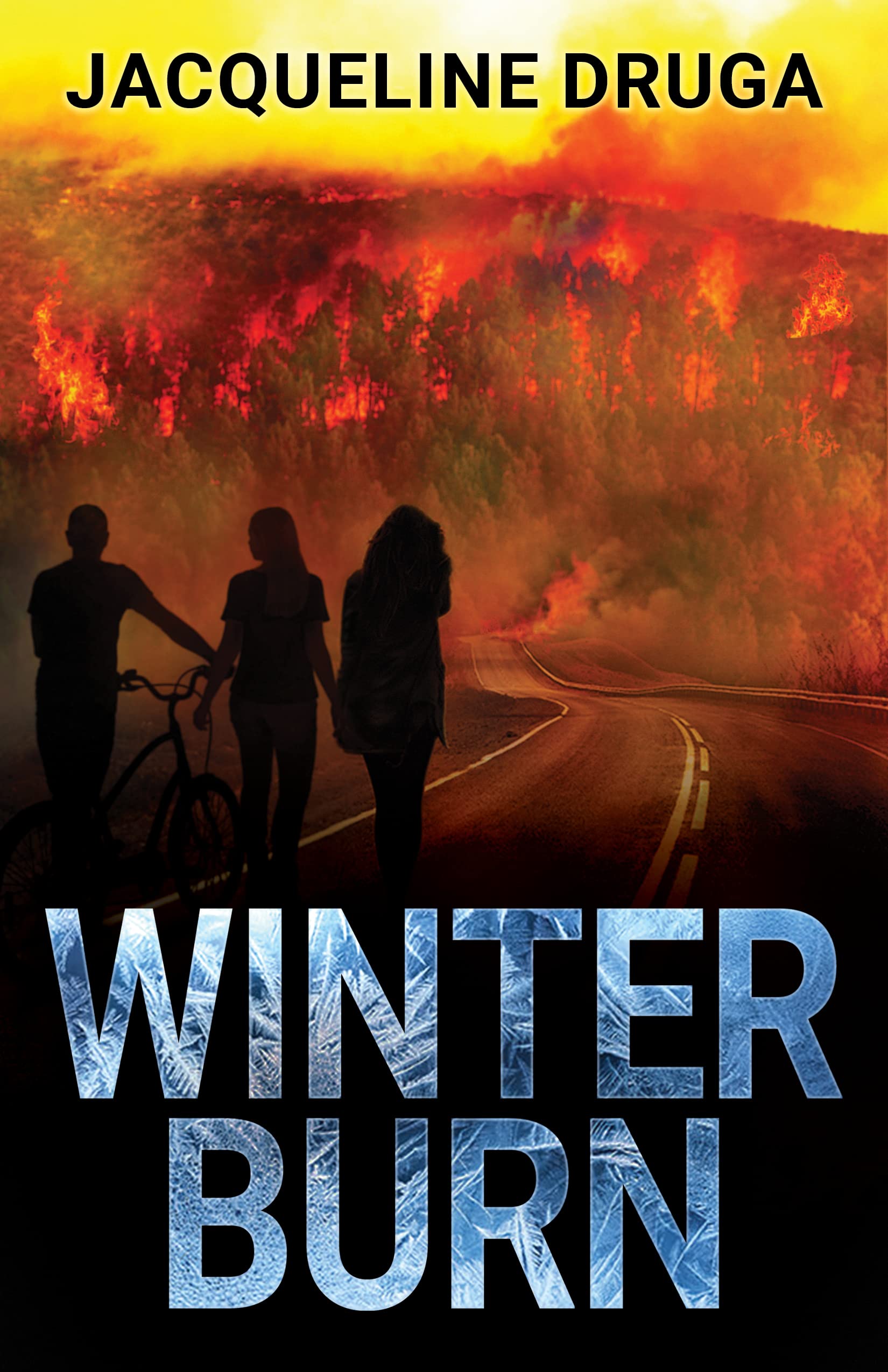Winter Burn book cover