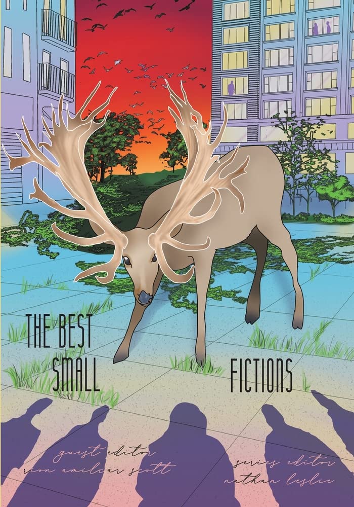 The Best Small Fictions 2021 by Nathan Leslie Goodreads