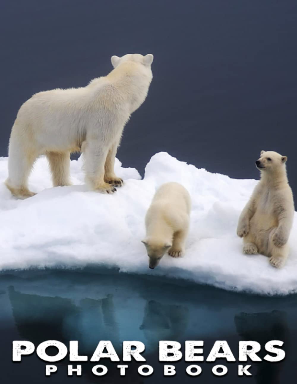 A Photo Book Of Polar Bears Polar Bears 2023 Calendar Bonus 4 Months 