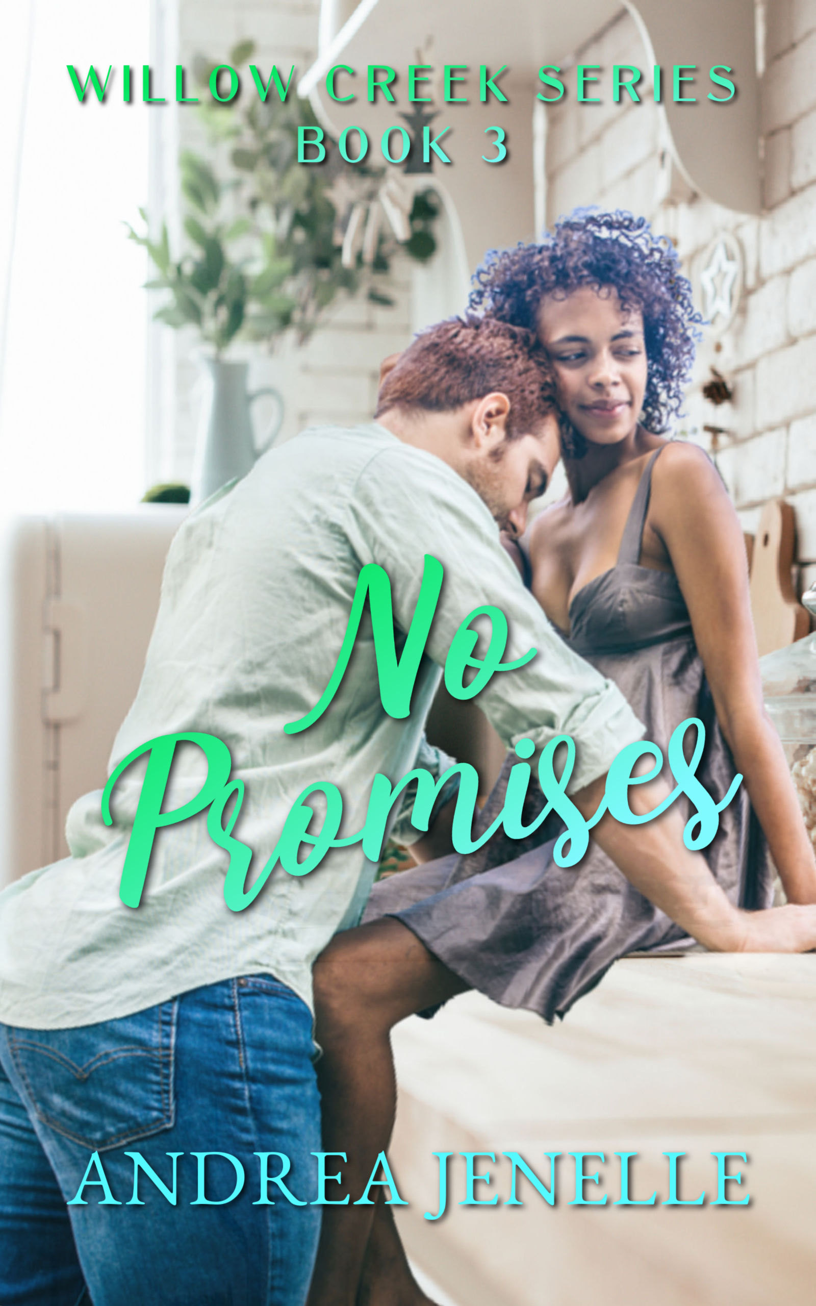 Willow Creek book cover 2