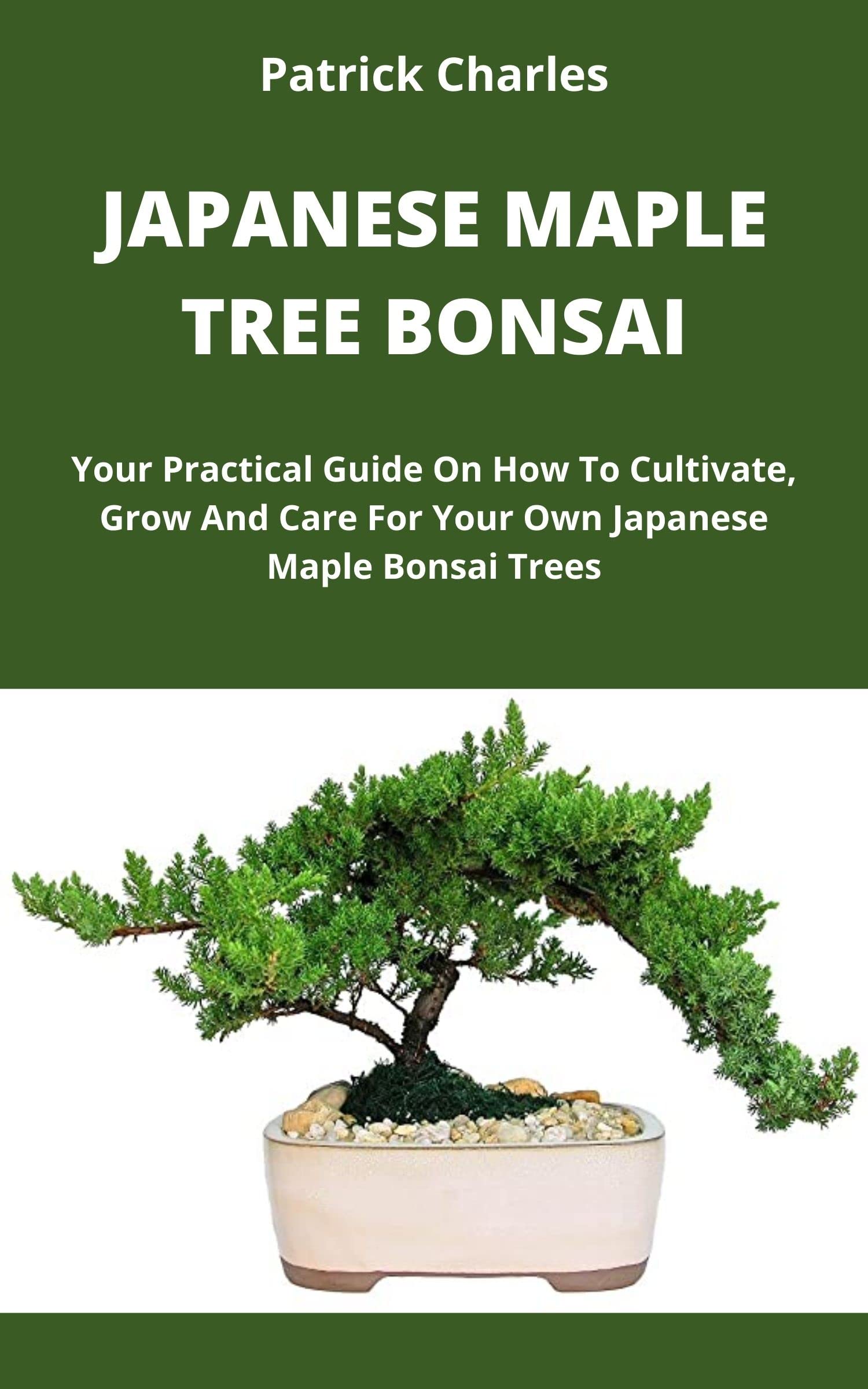 Japanese Maple Tree Bonsai Your Practical Guide On How To Cultivate
