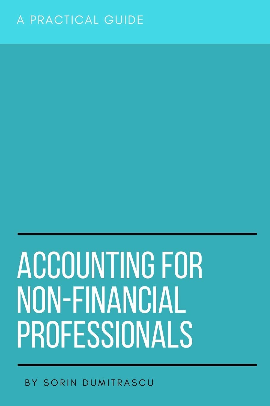 Accounting for NonFinancial Professionals A Practical Guide by Sorin