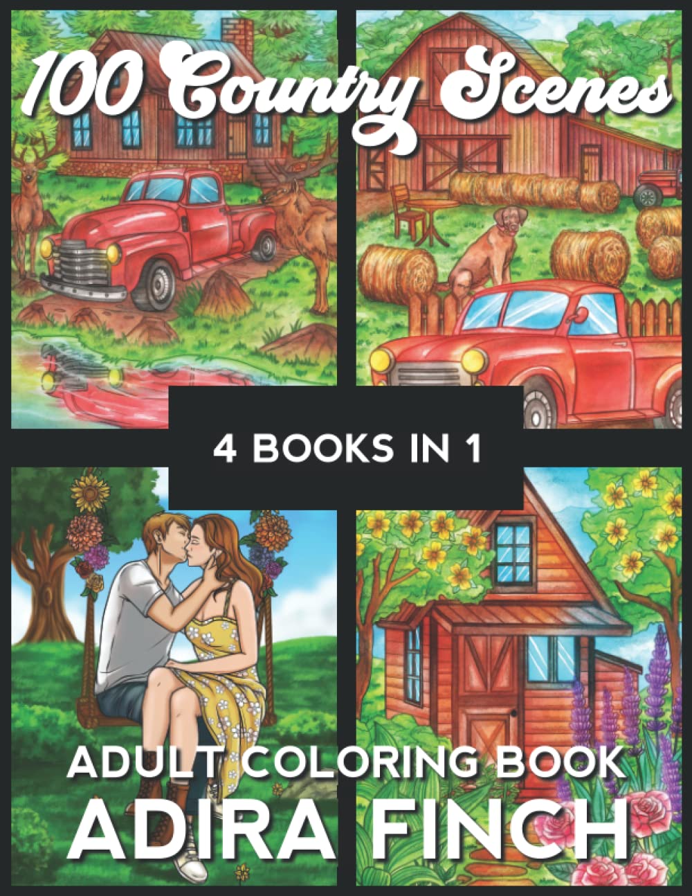100 Country Scenes Adult Coloring Book by Adira Finch | Goodreads