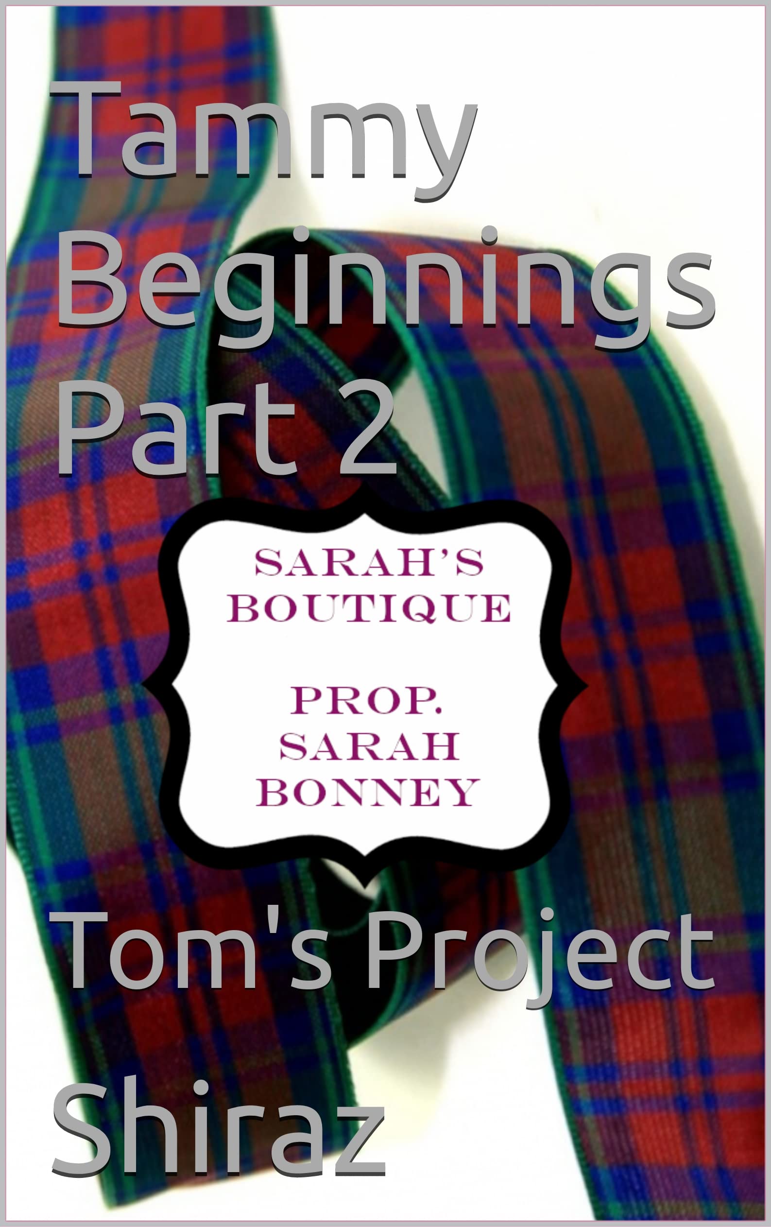 Tammy Beginnings Part 2: Tom's Project
