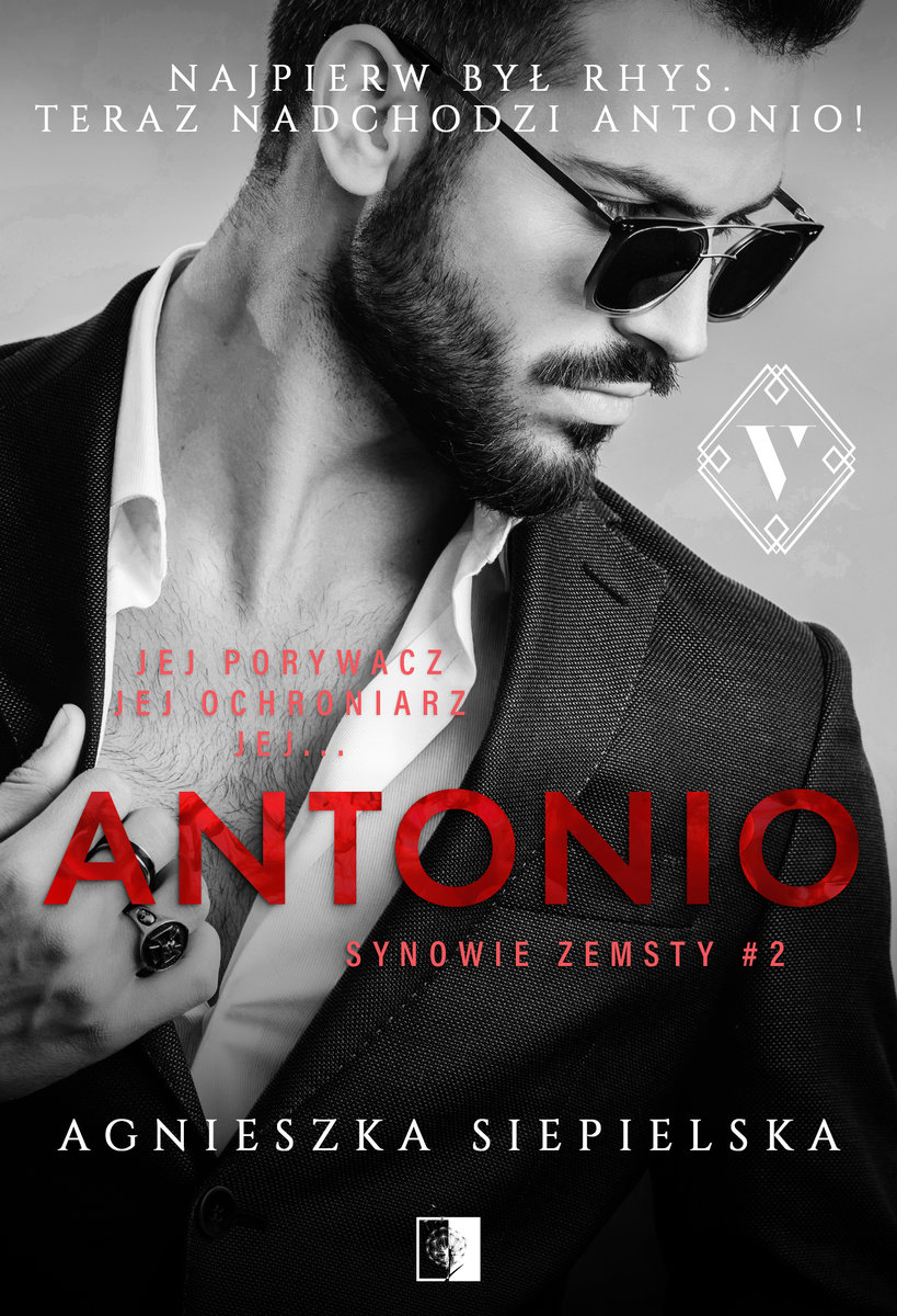 Synowie zemsty book cover 2