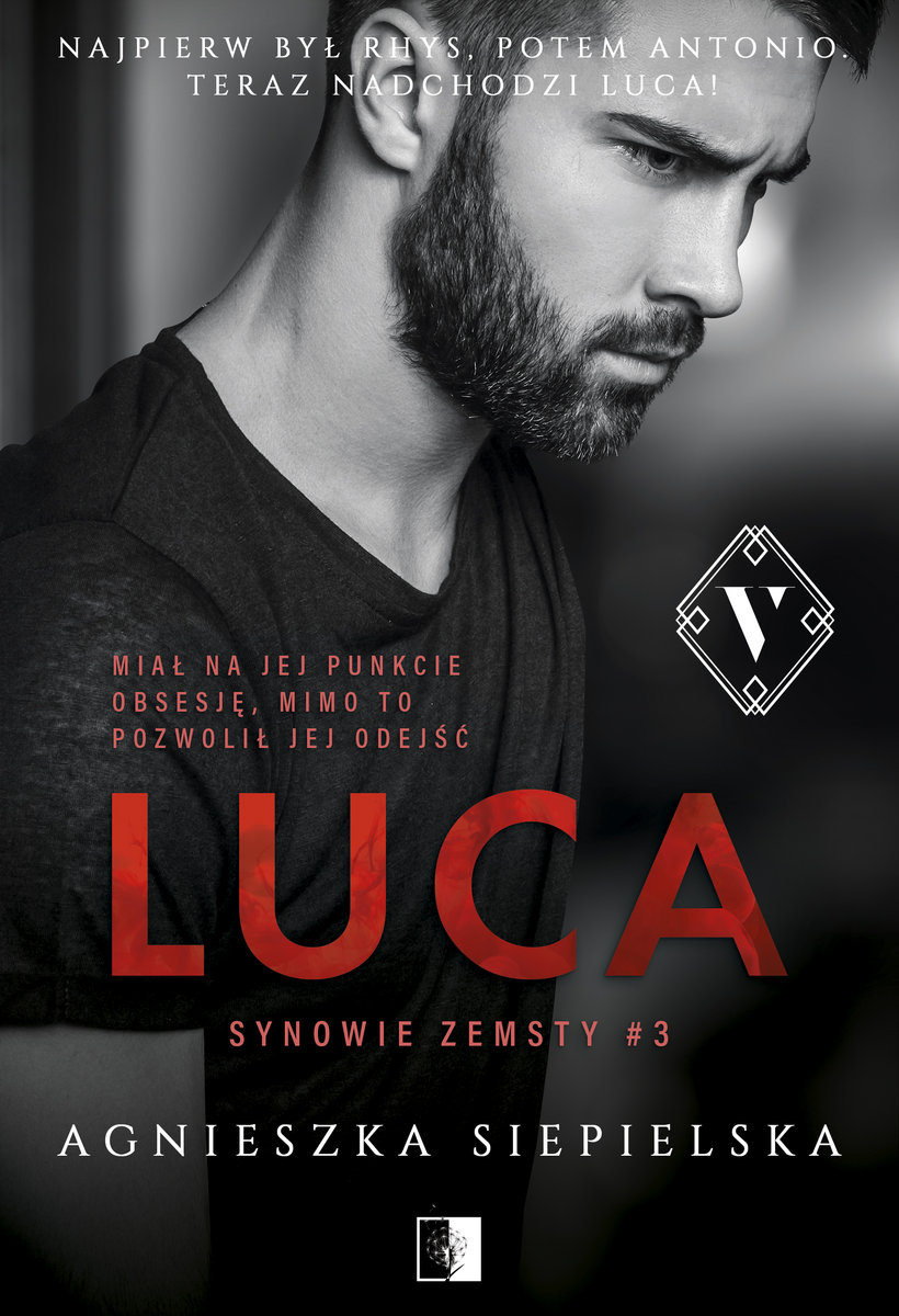 Synowie zemsty book cover 3