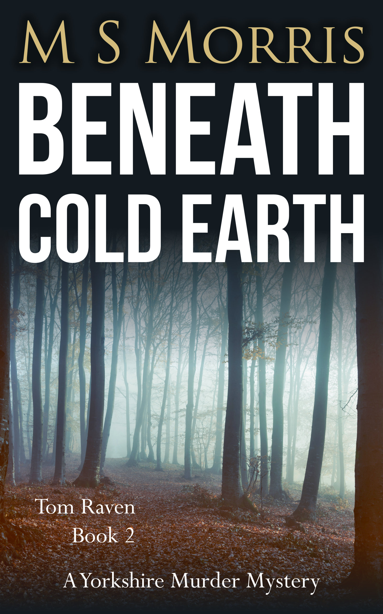 Beneath Cold Earth