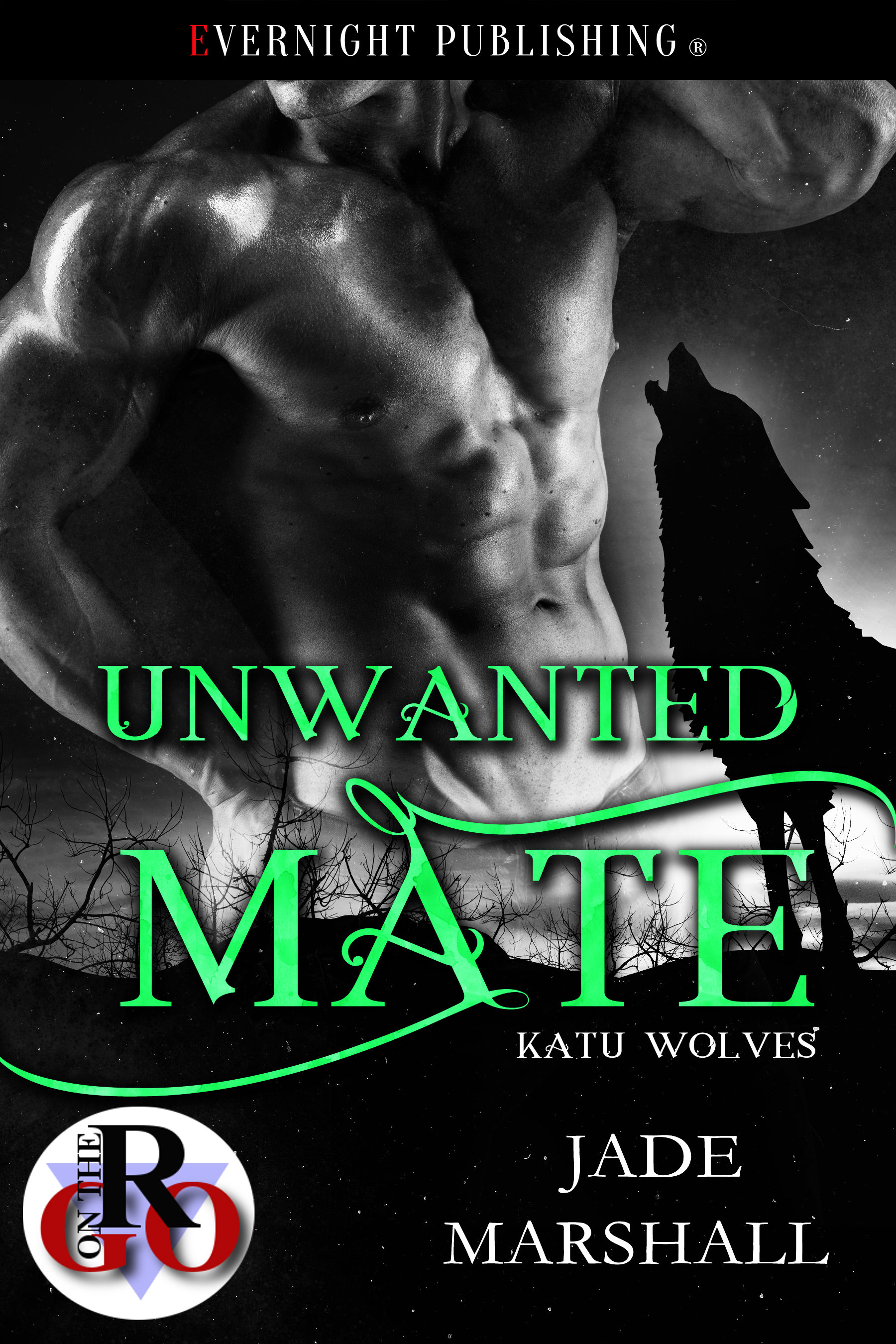 Unwanted Mate book cover