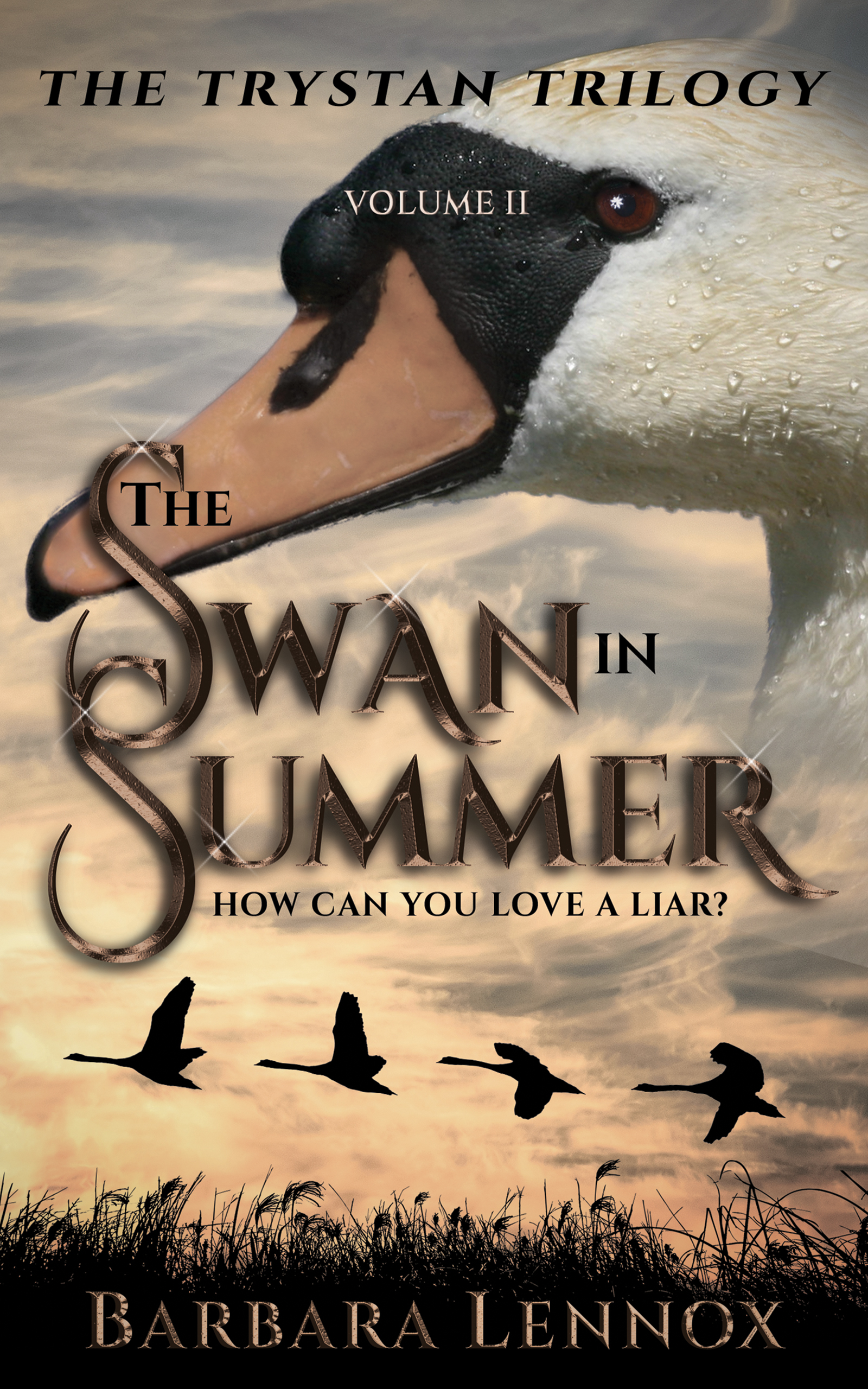 The Swan in Summer