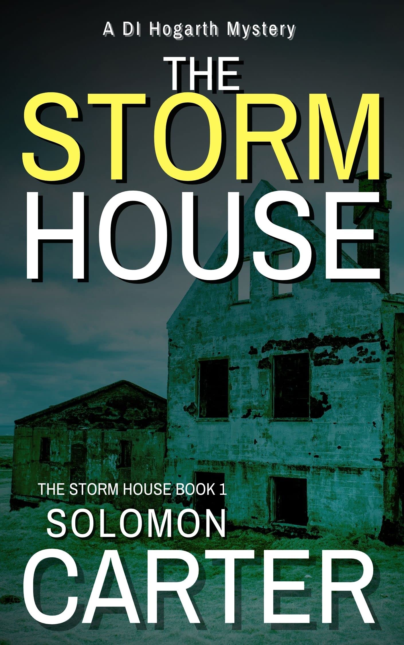 The Storm House: A Gripping Detective Mystery