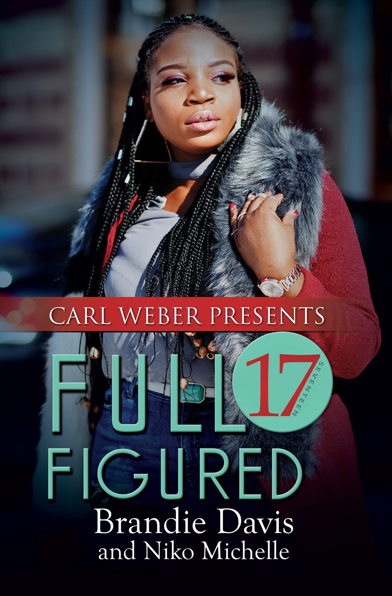 Full Figured 17 book cover