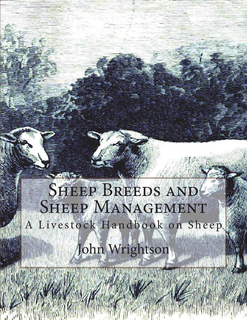 Sheep Breeds and Sheep Management A Livestock Handbook on Sheep by