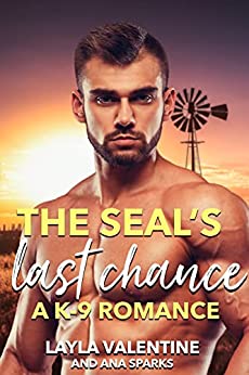 The SEAL's Last Chance book cover
