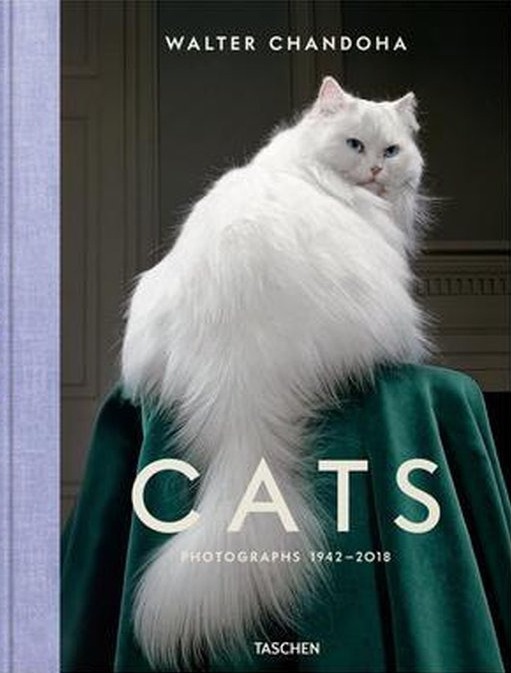 Cats. Photographs 1942–2018