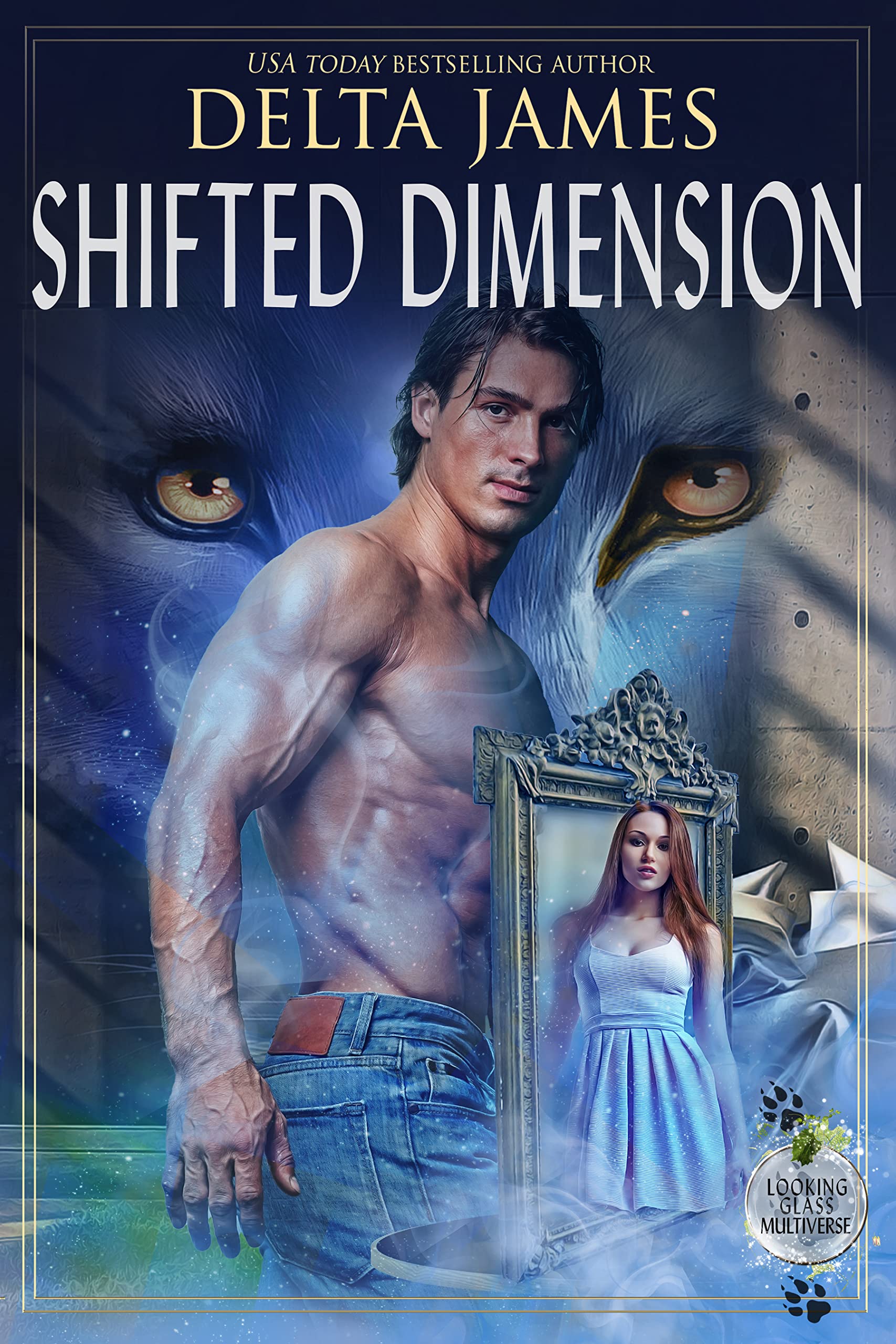 Shifted Dimension book cover