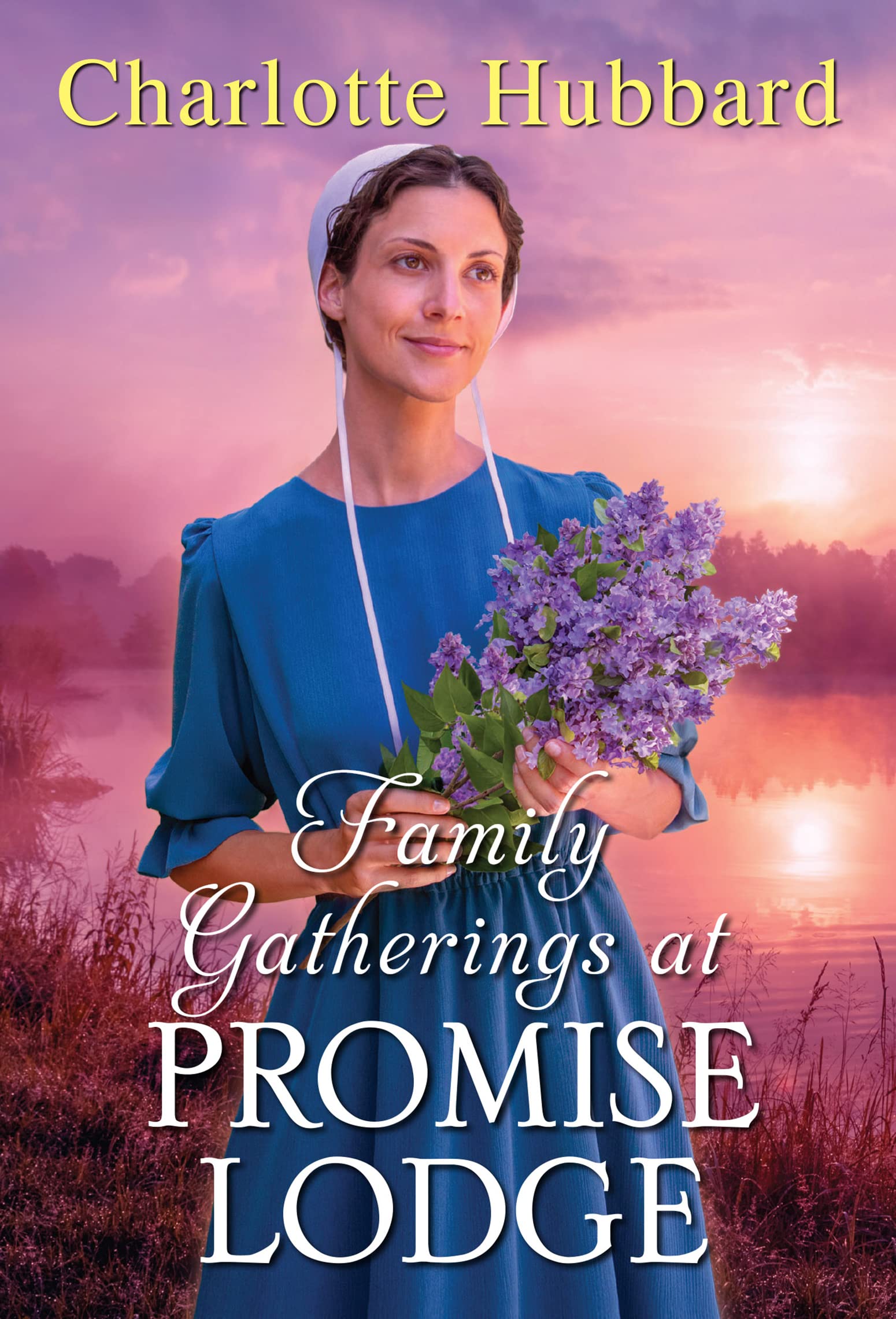 Family Gatherings at Promise Lodge book cover