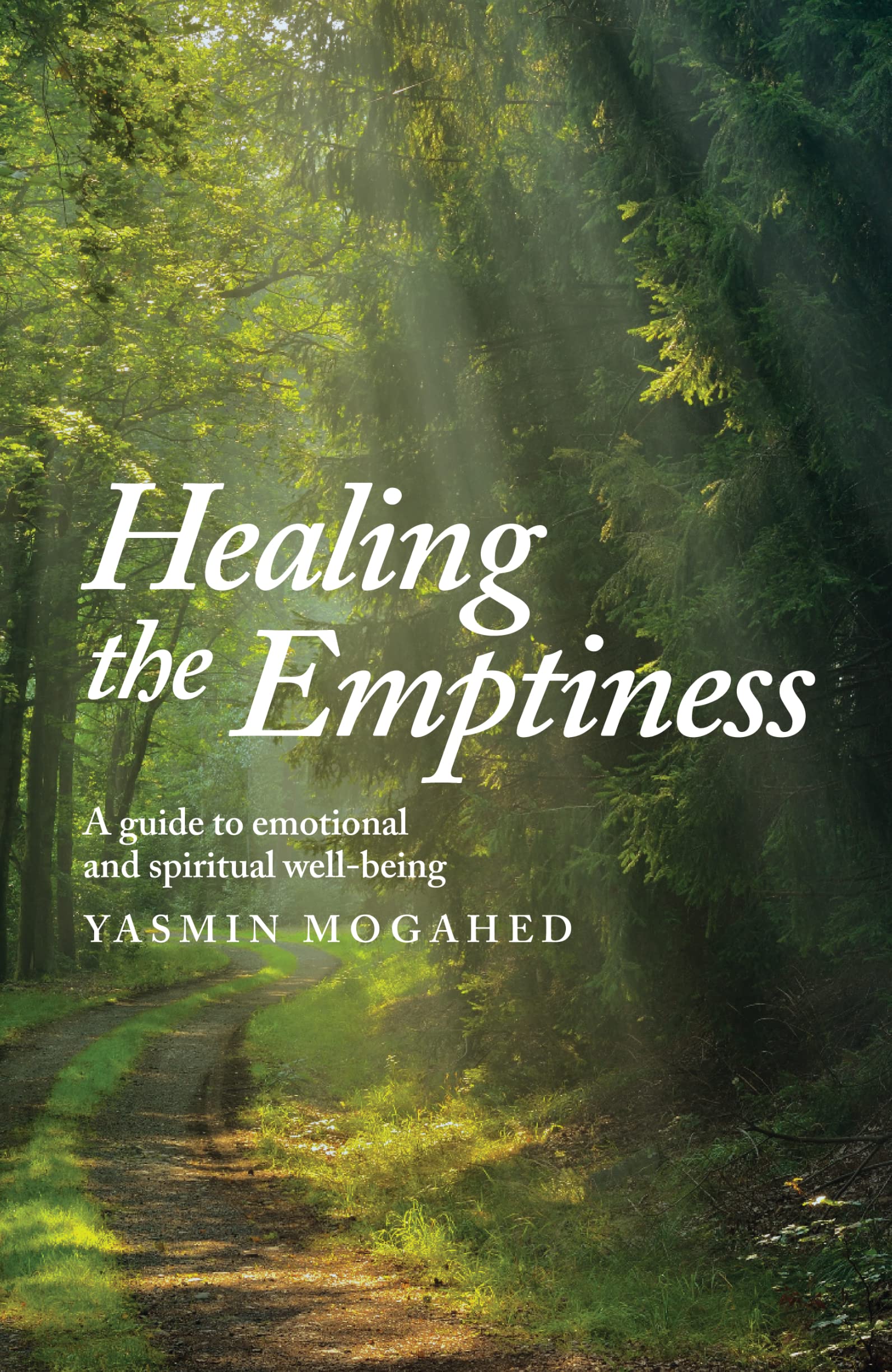 Healing the Emptiness: A guide to emotional and spiritual well-being
