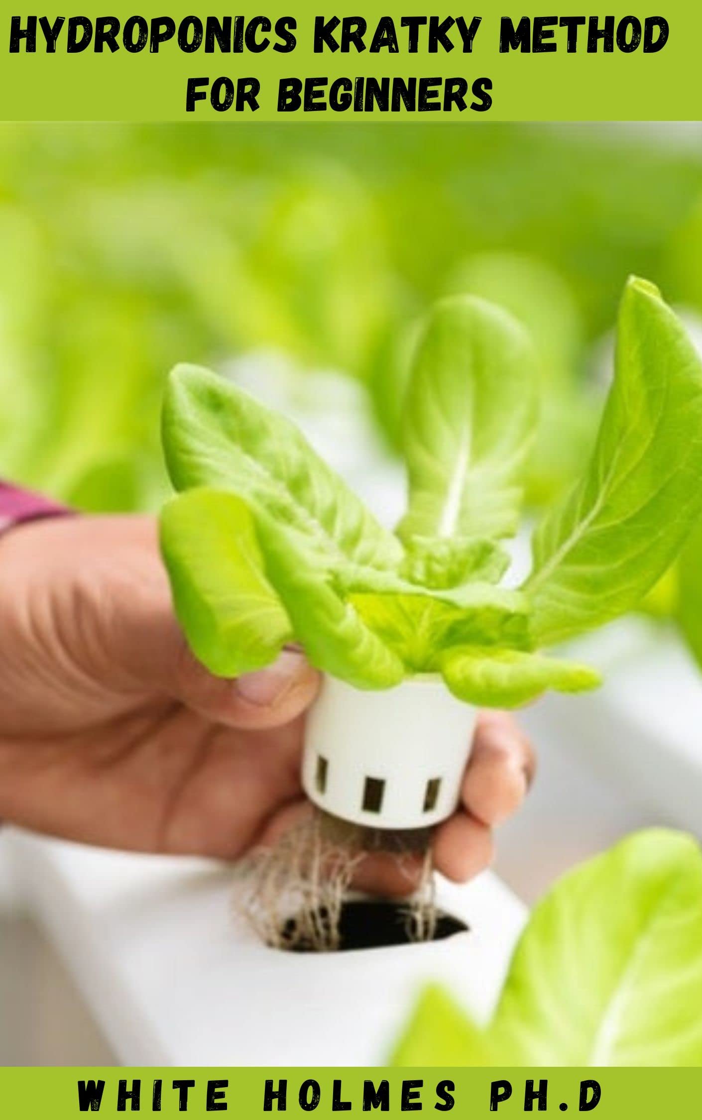 HYDROPONIC KRATKY METHOD FOR BEGINNERS Details and Simple Easy StepByStep on How to Quickly