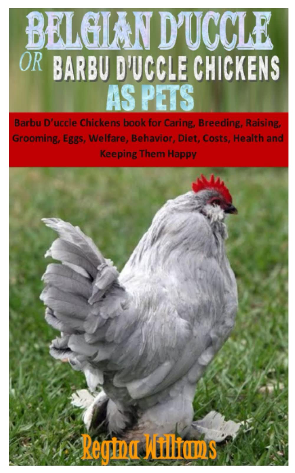 BELGIAN D’UCCLES OR BARBU D’UCCLE CHICKENS AS PETS Barbu D’uccle