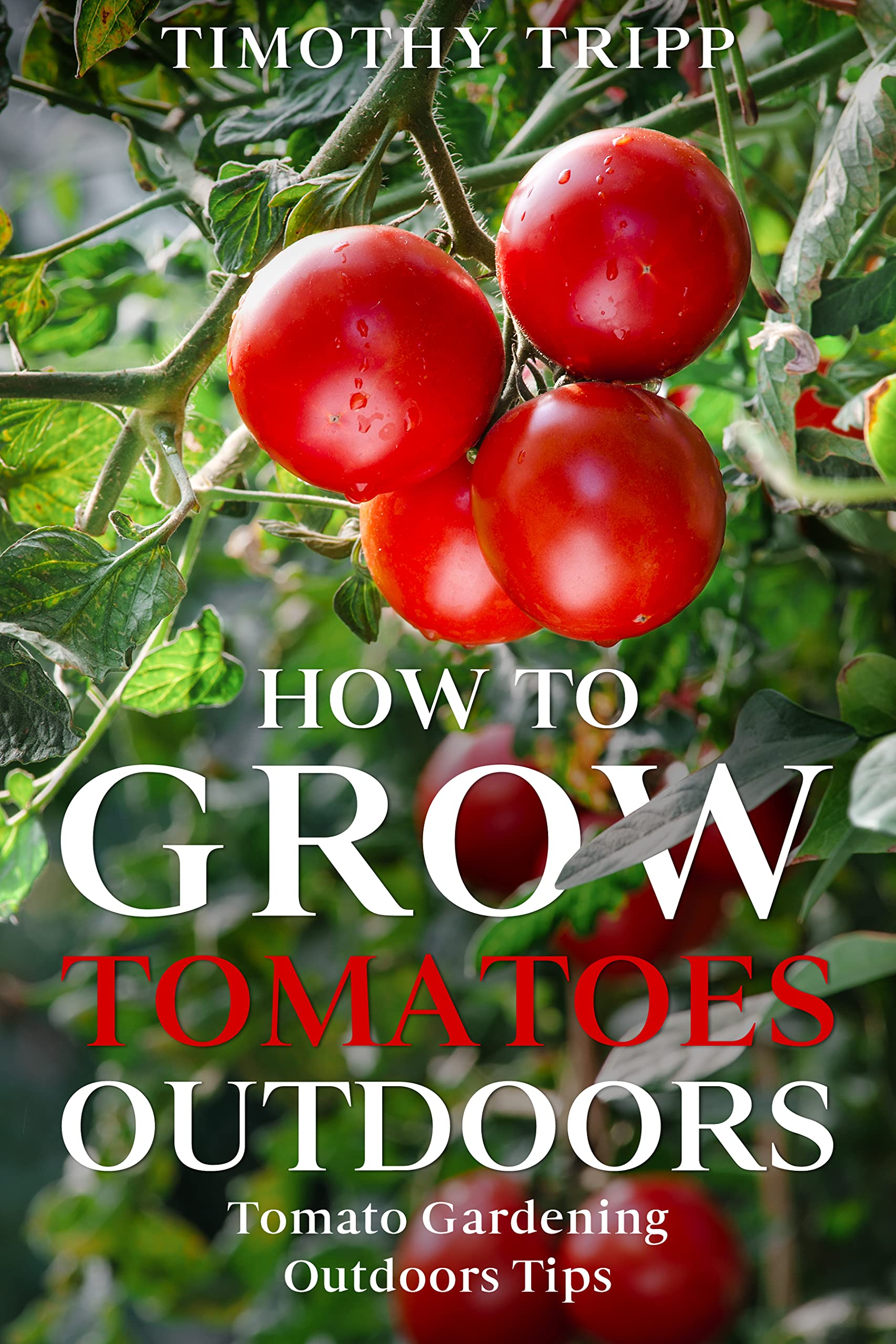 How to Grow Tomatoes Outdoors Tomato Gardening Outdoors Tips by