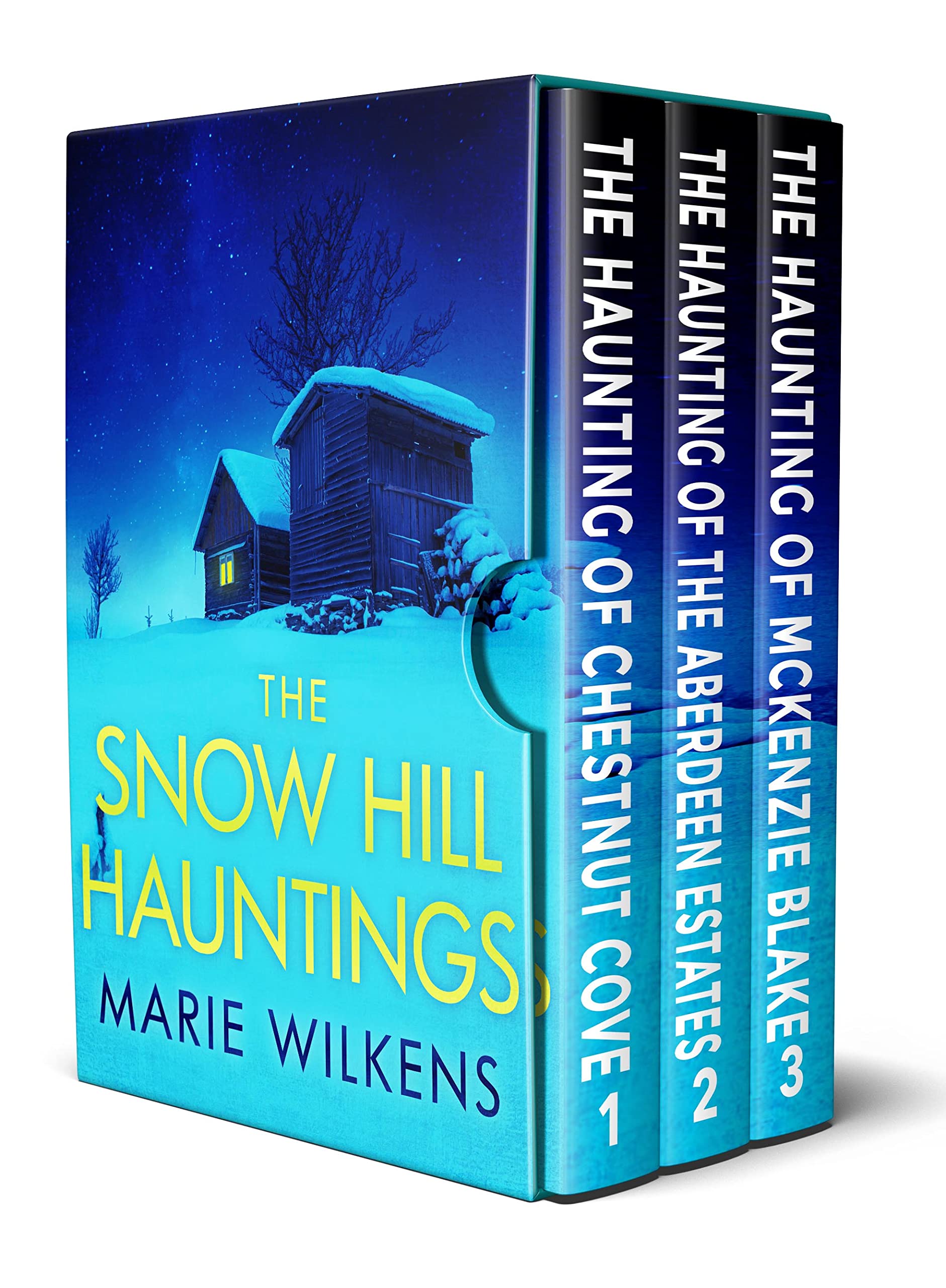 The Snow Hill Hauntings: A Riveting Haunted House Mystery Boxset