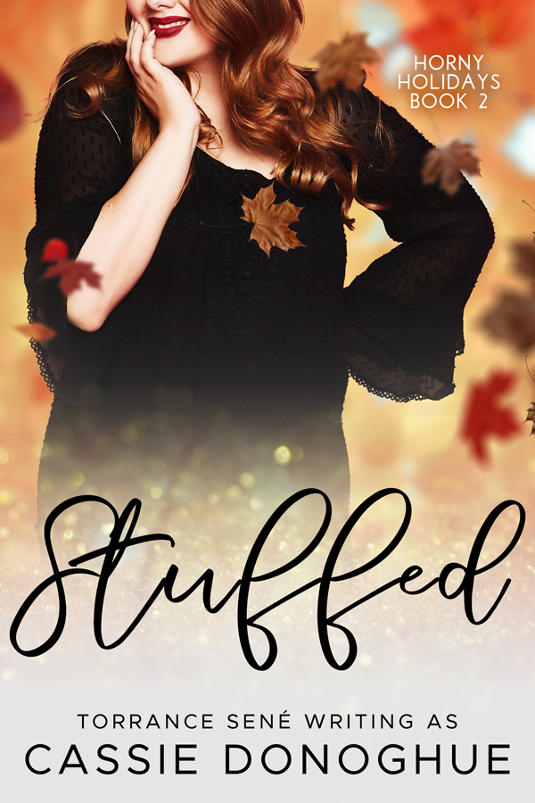 H*rny Holidays book cover 2