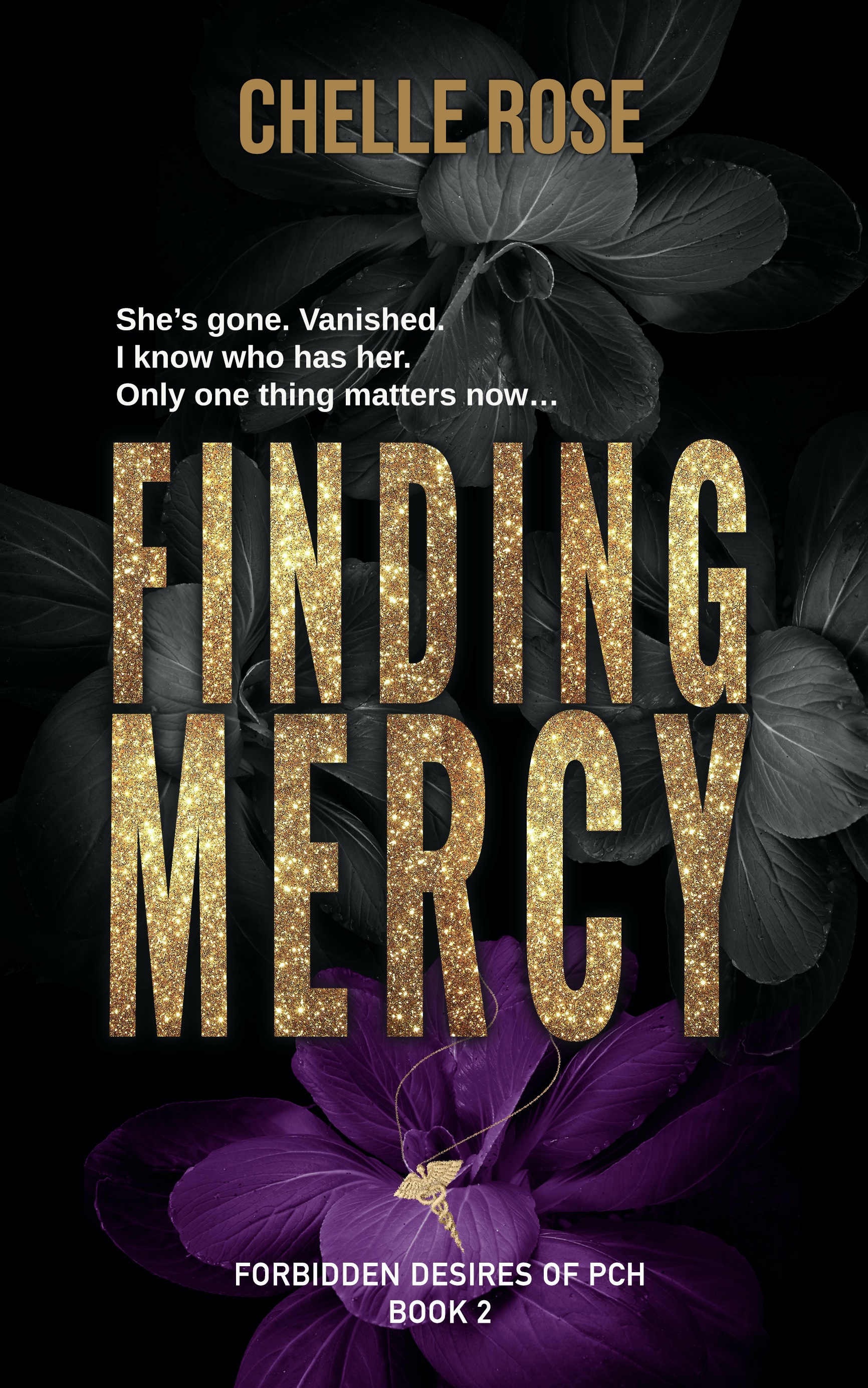 Finding Mercy by Chelle Rose Goodreads